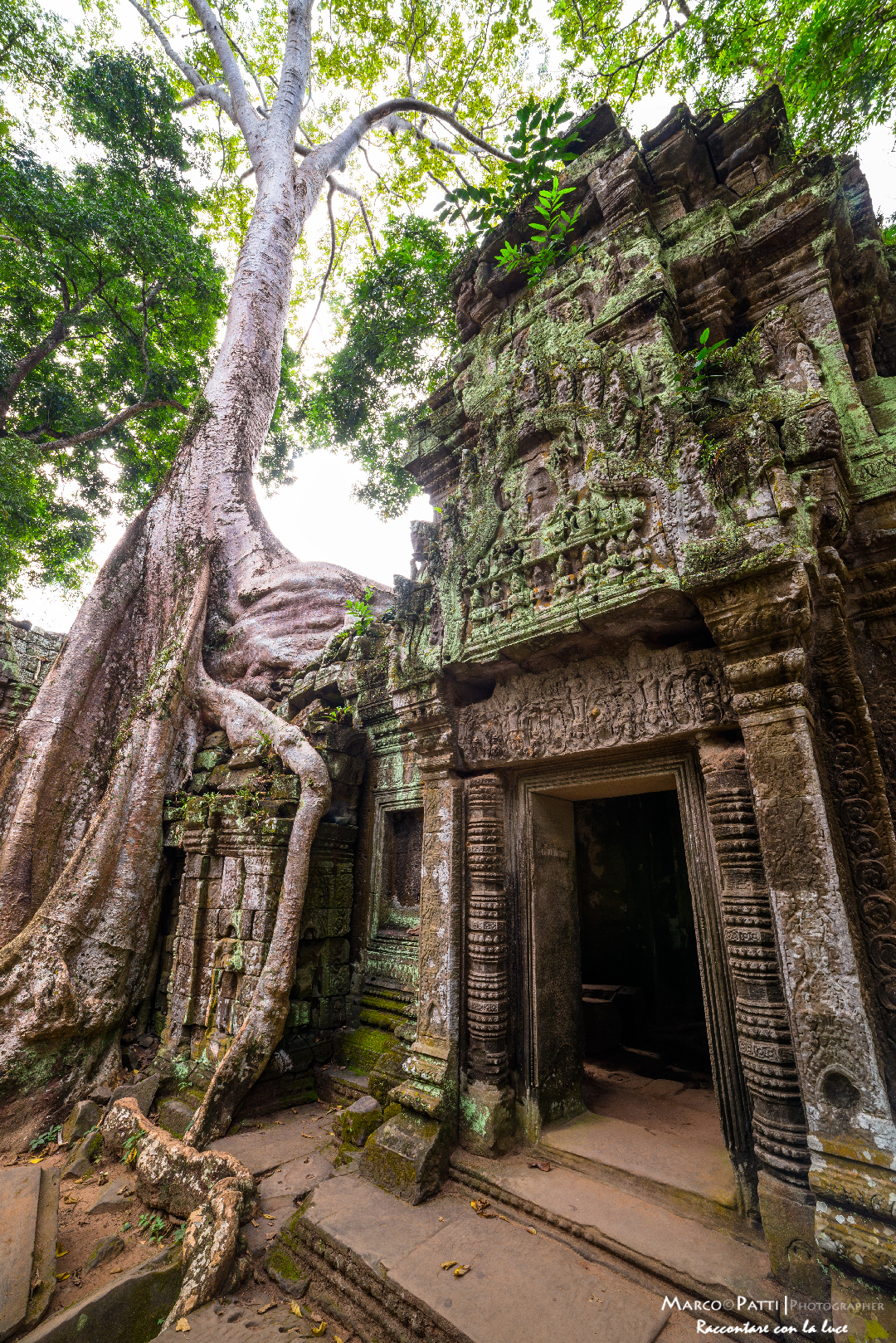 when it melts man and nature