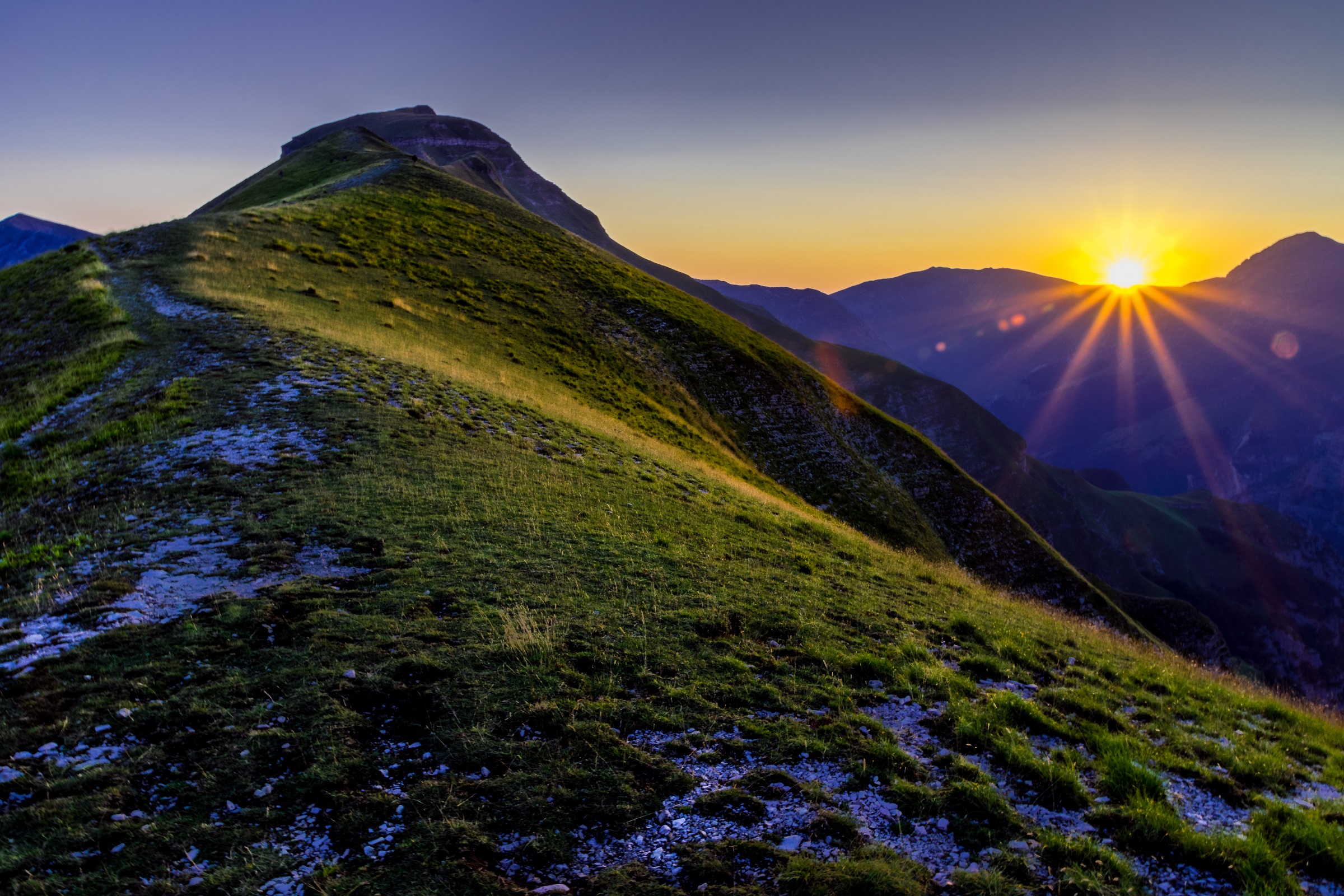 Gli ultimi petali di sole