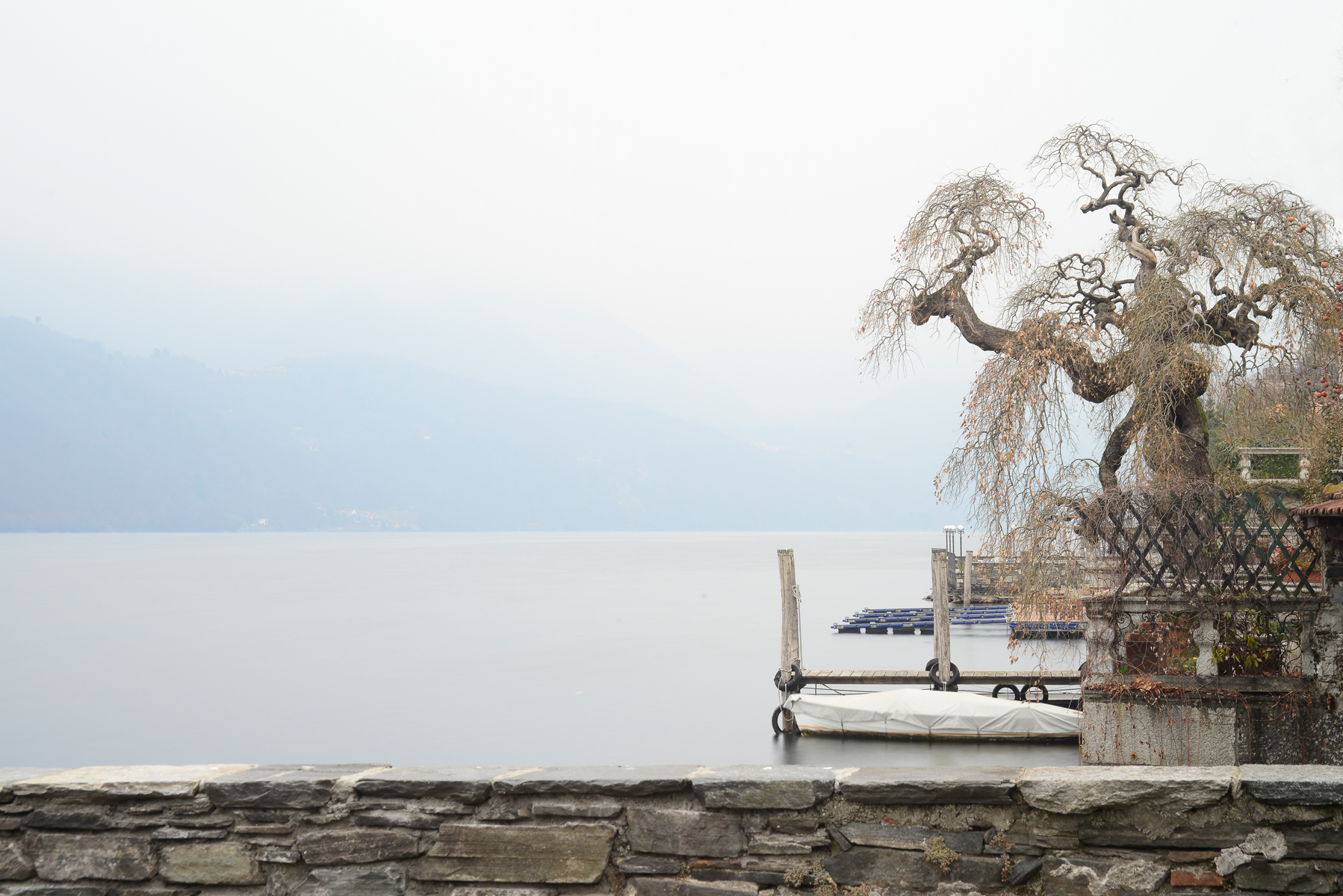 Era un quadro di così armoniosa perfezione ..