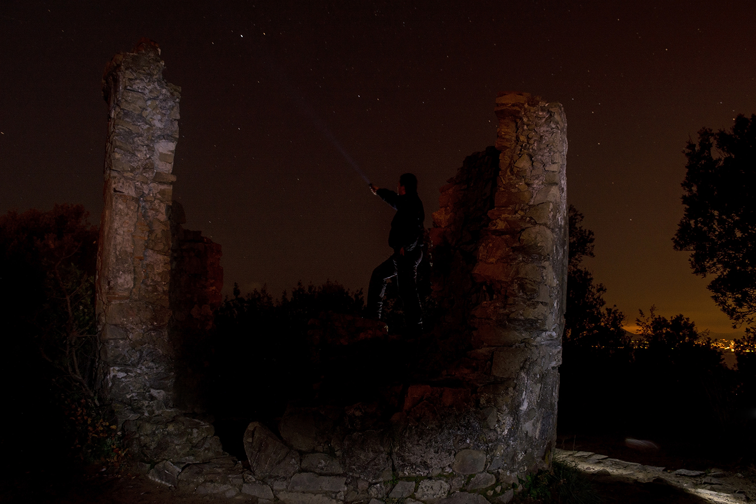 The guardian of the tower