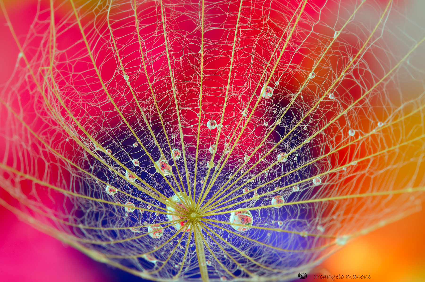 One cup for thinking