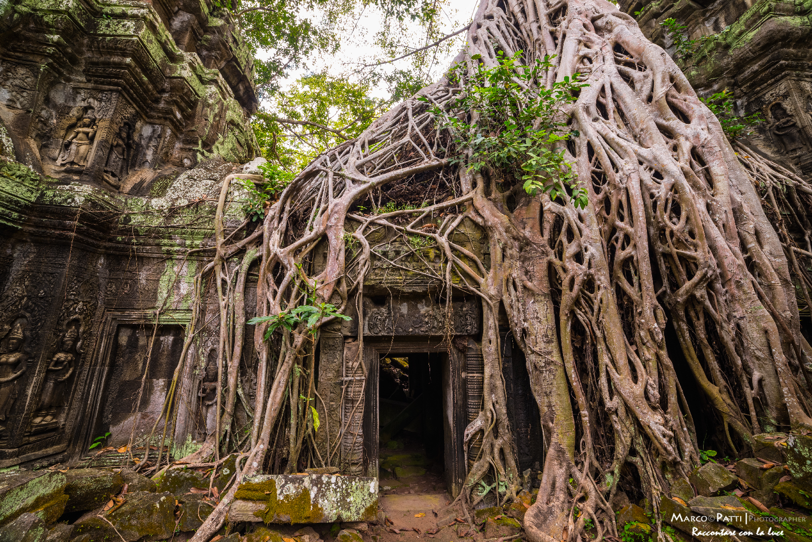 Ta phrom, when nature and man come together