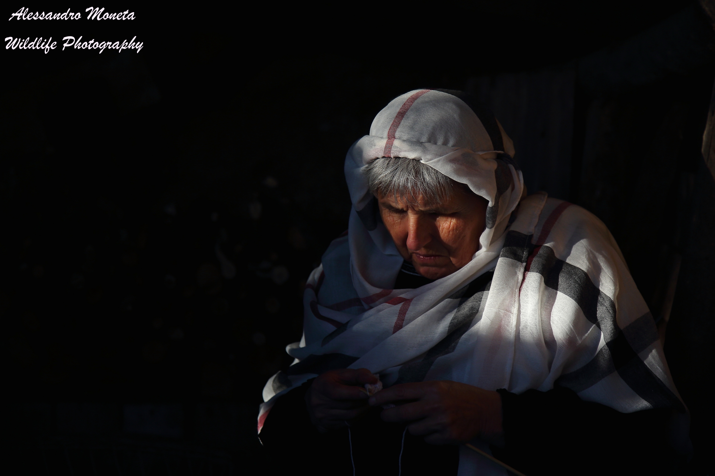 Living Crib of Villongo