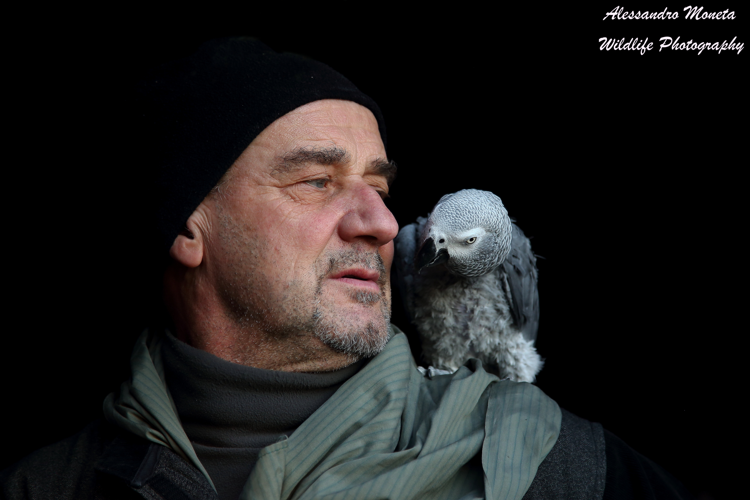 Living Crib of Villongo