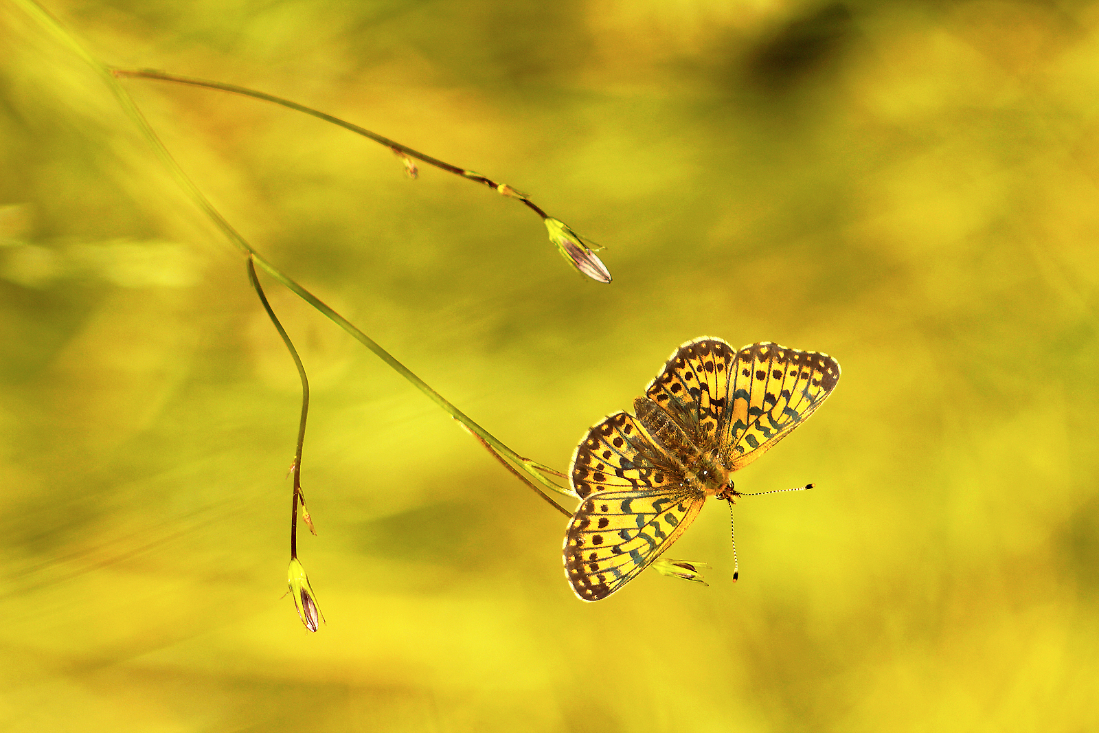 My brain is hanging upside down