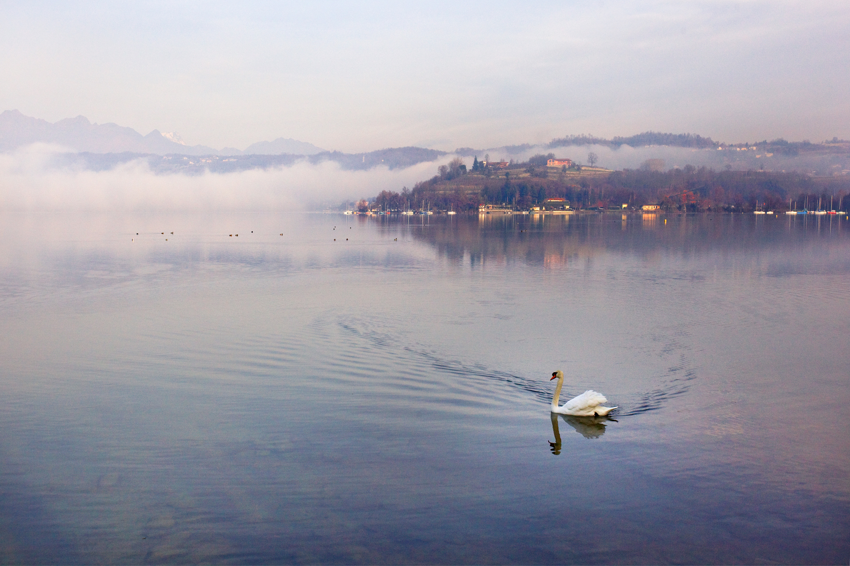 "Il guardiano del lago"