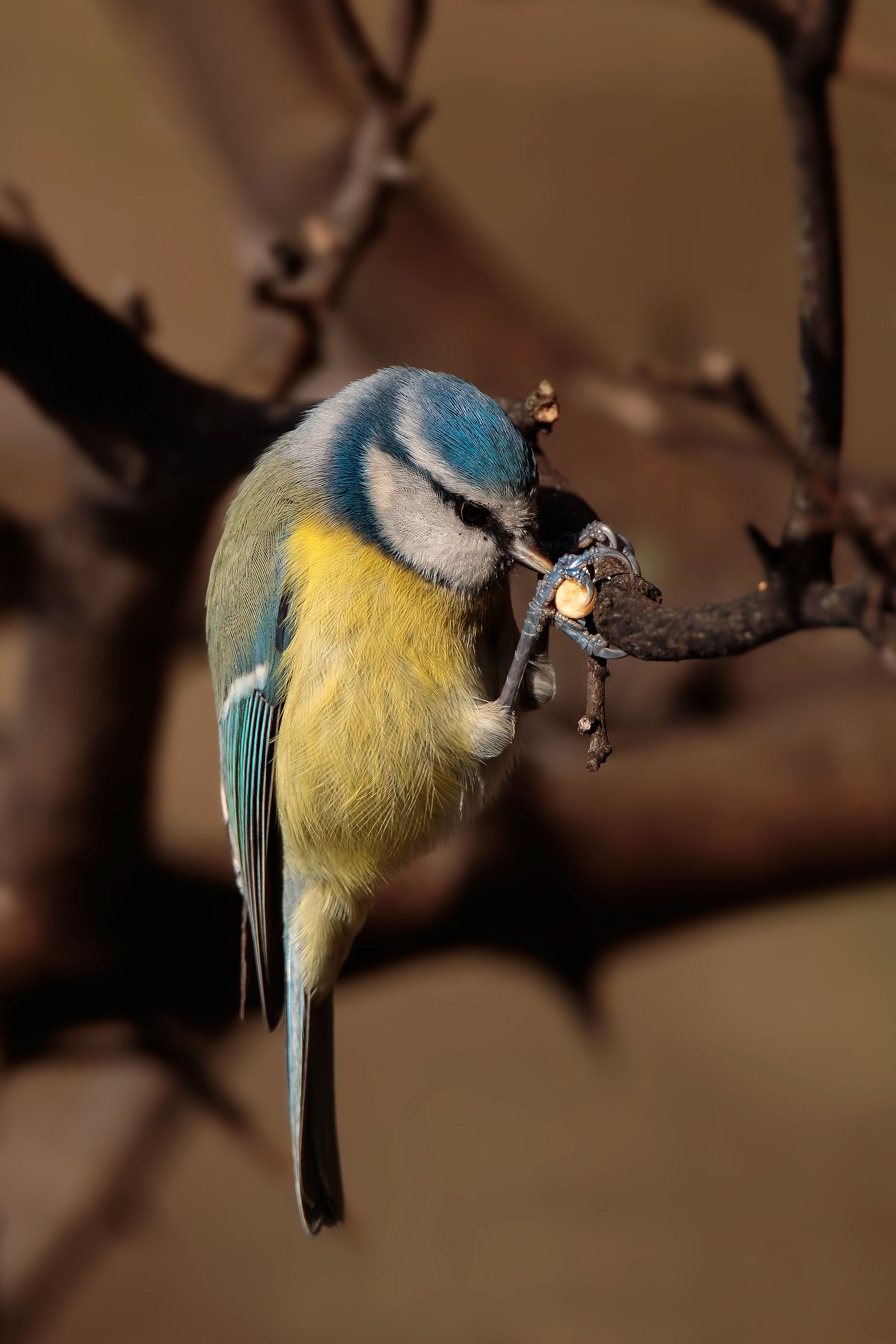 ... Vertical to 4000 ISO