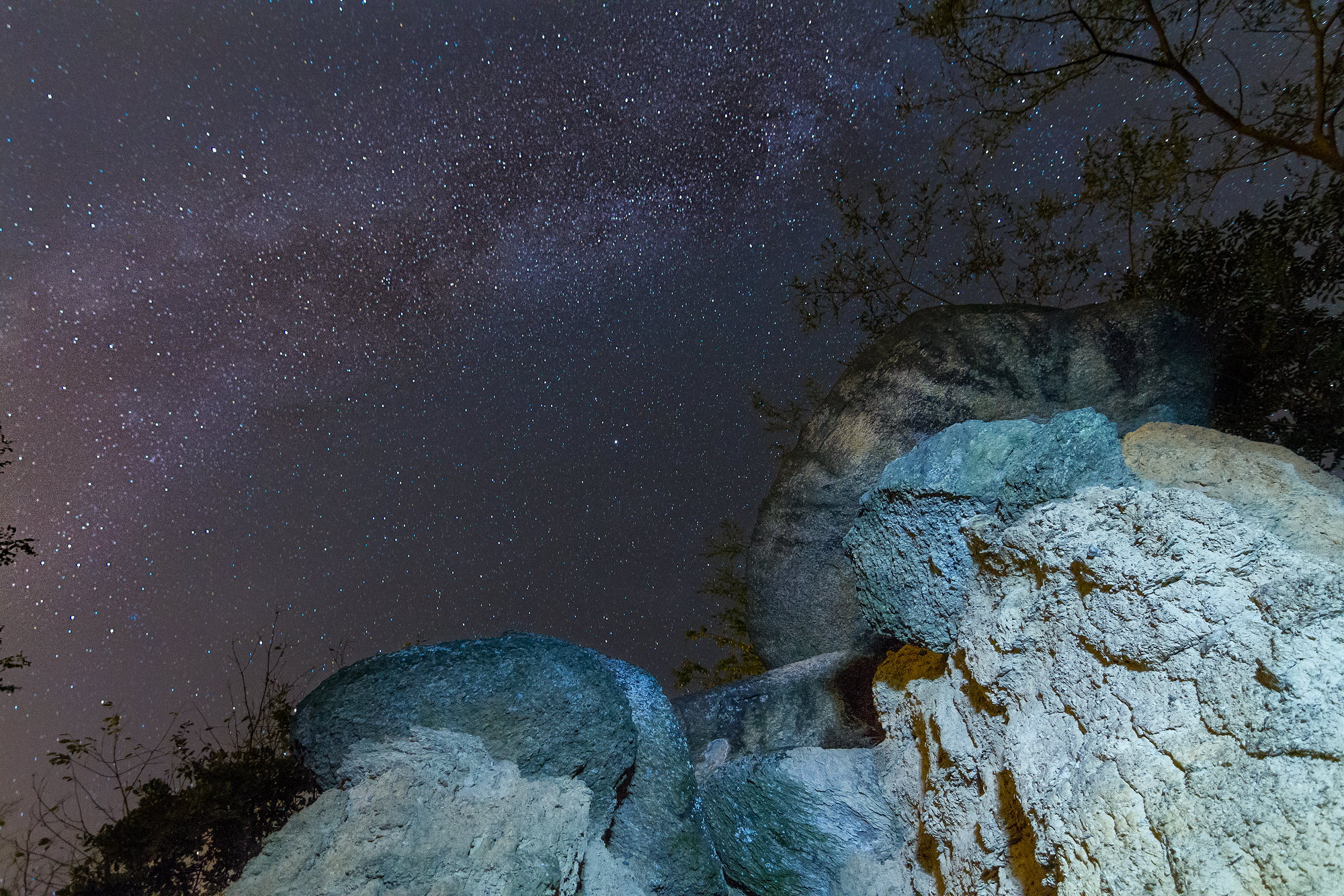 The nose .... camera ... up!