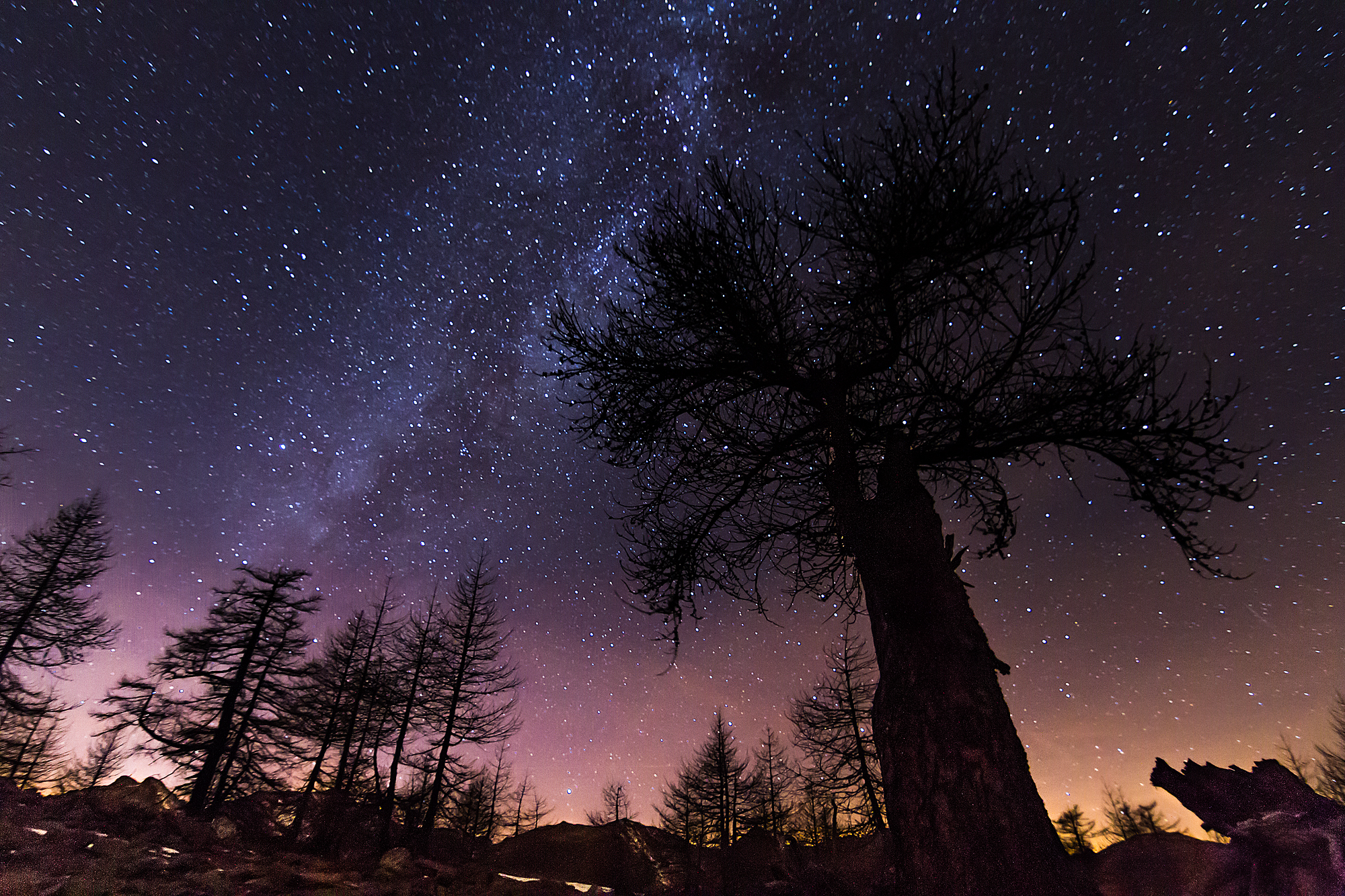 Him in the flames of a long sunset