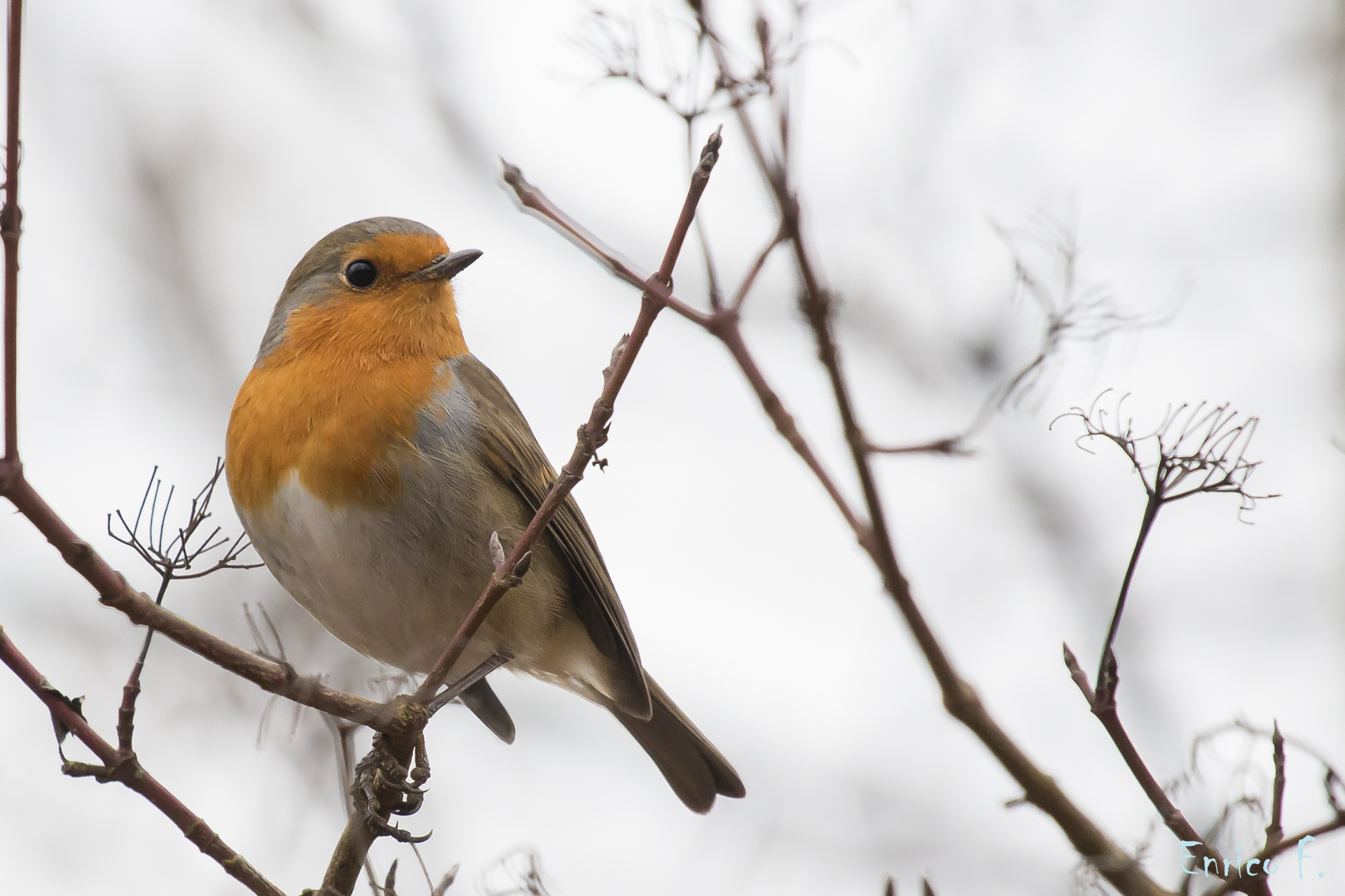 Waiting for the snow ...