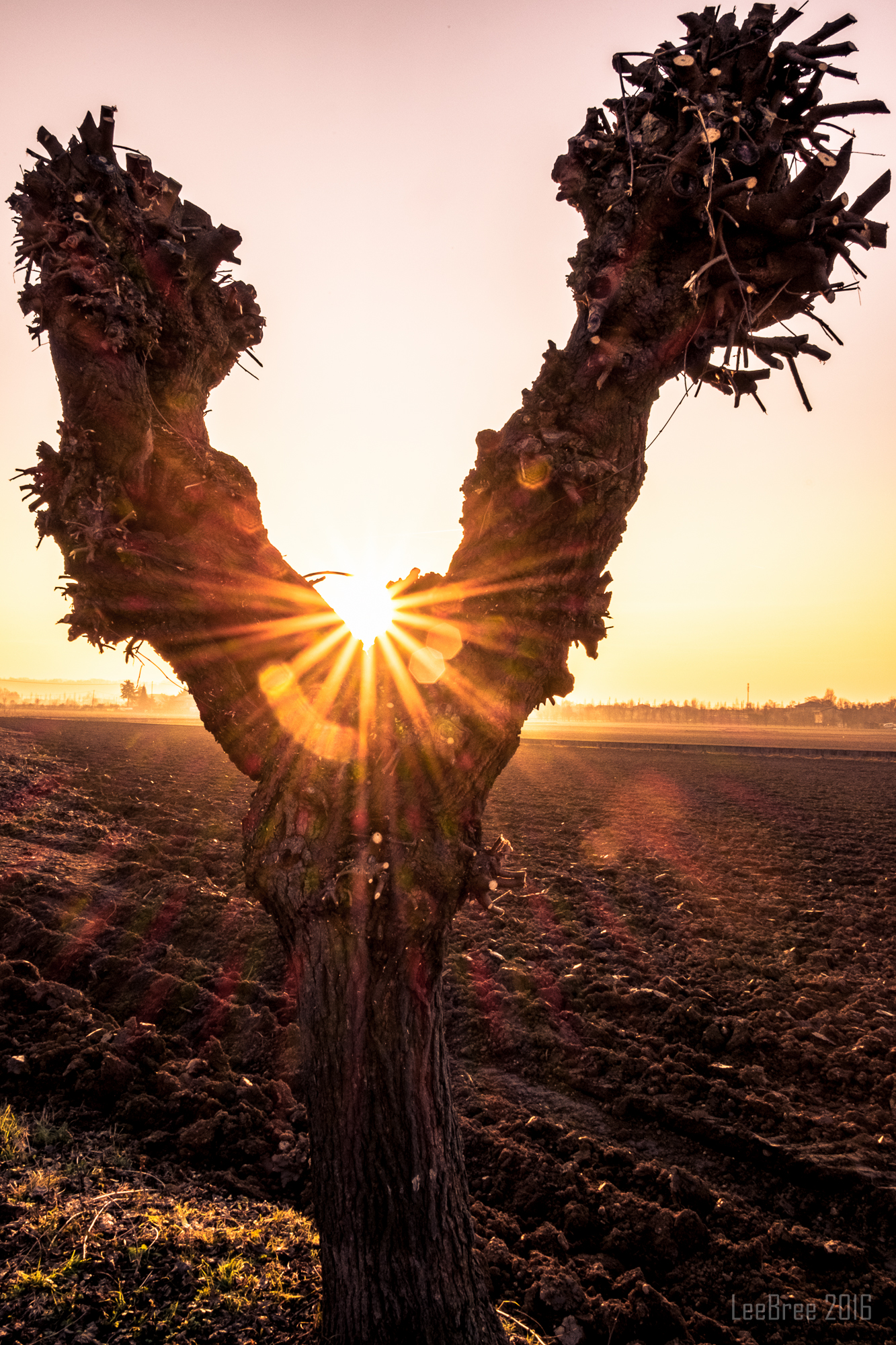 One evening, the Autumn.