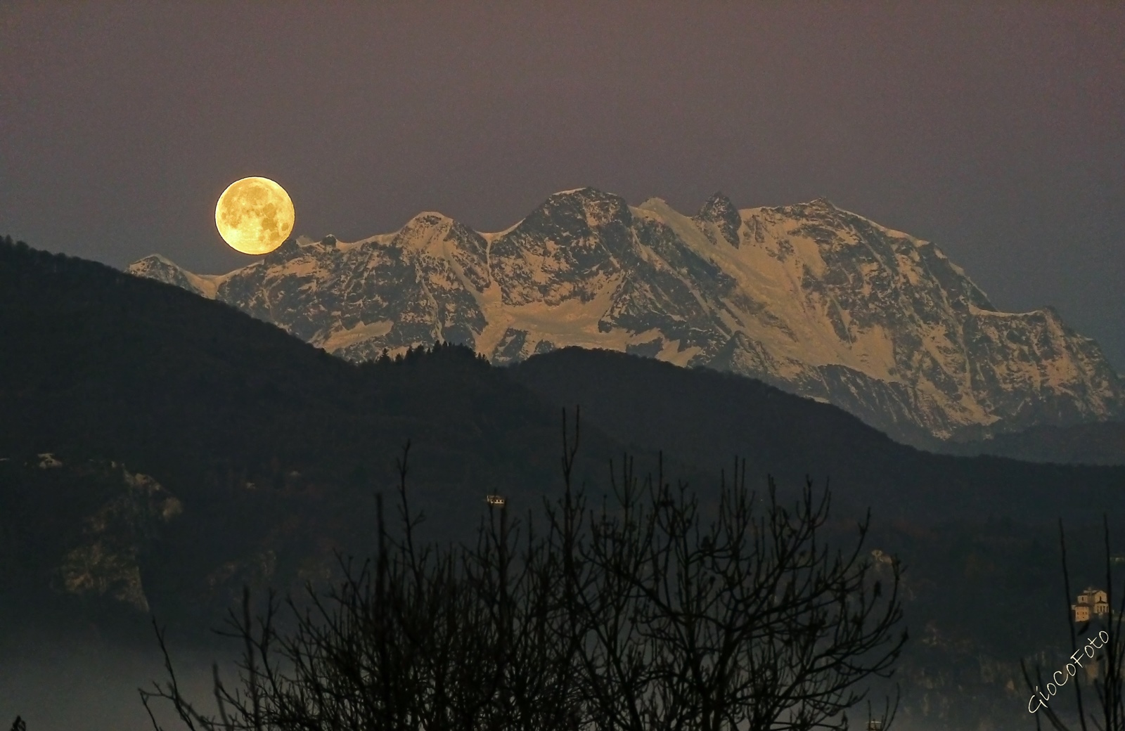 Yellow and still (M) Pink