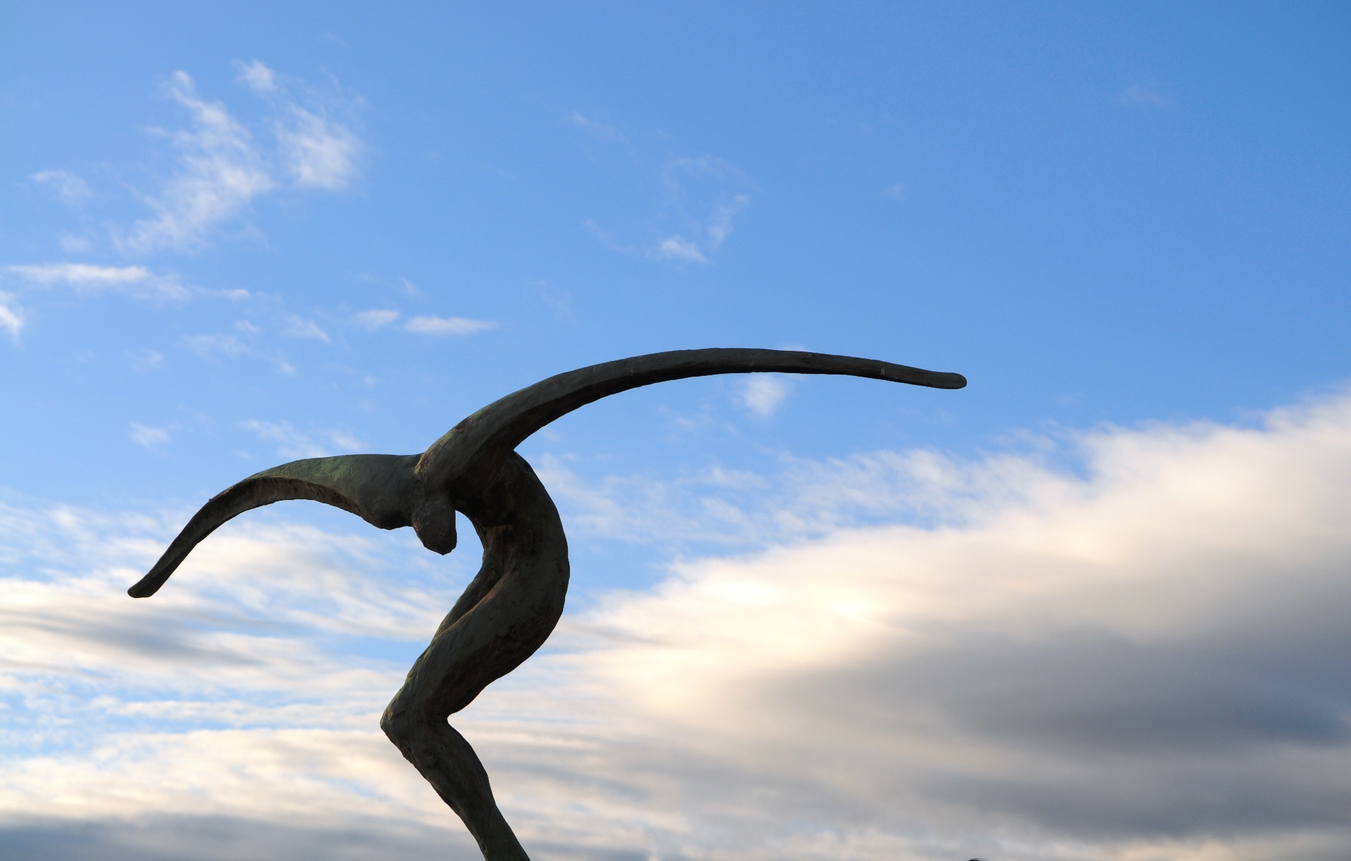 Le ali della liberta'?