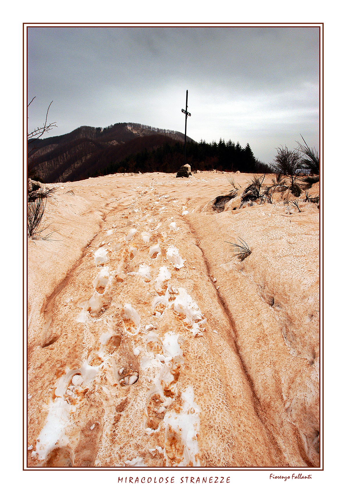 ...Scherzi dell'inverno...