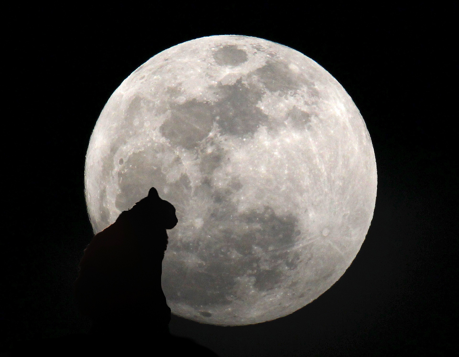 Black Princess and the moon