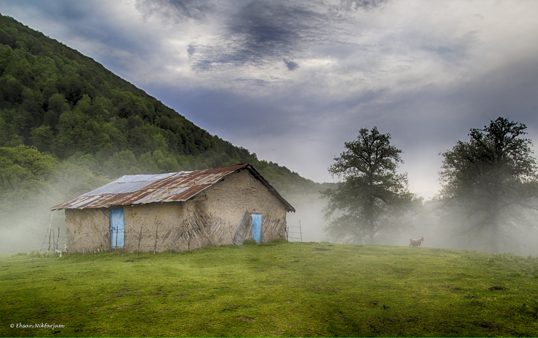 Cottage in Fog
