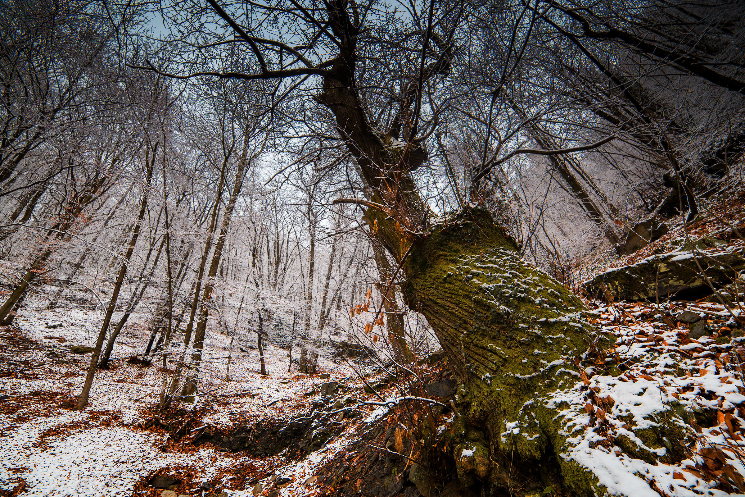 L'inverno gioca con noi