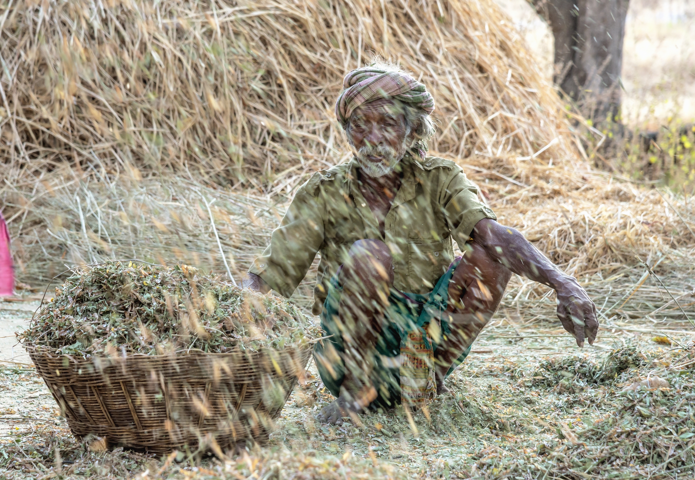 Gujarat 2015 - Behind the sieve