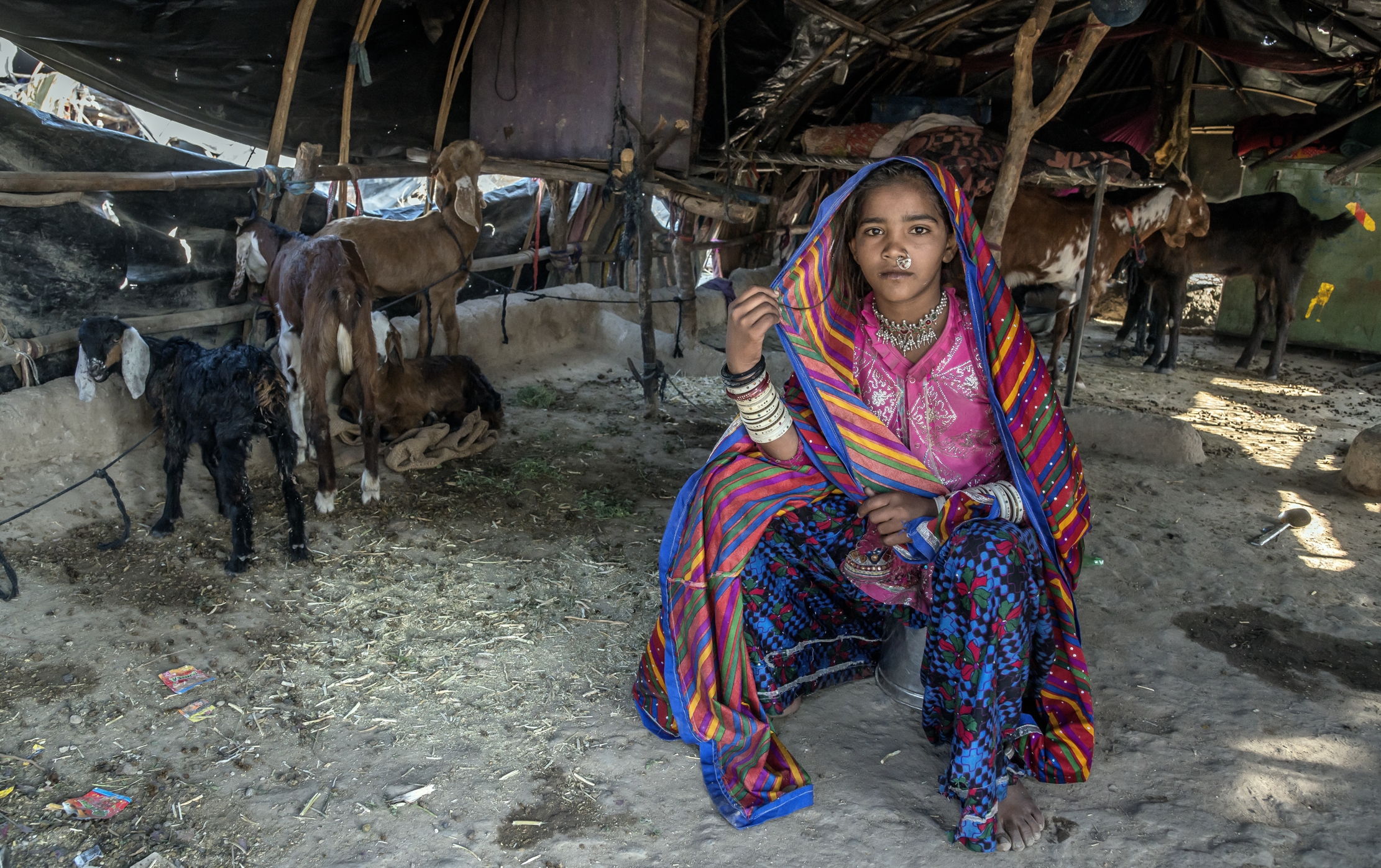 Gujarat 2015 - Young nomad