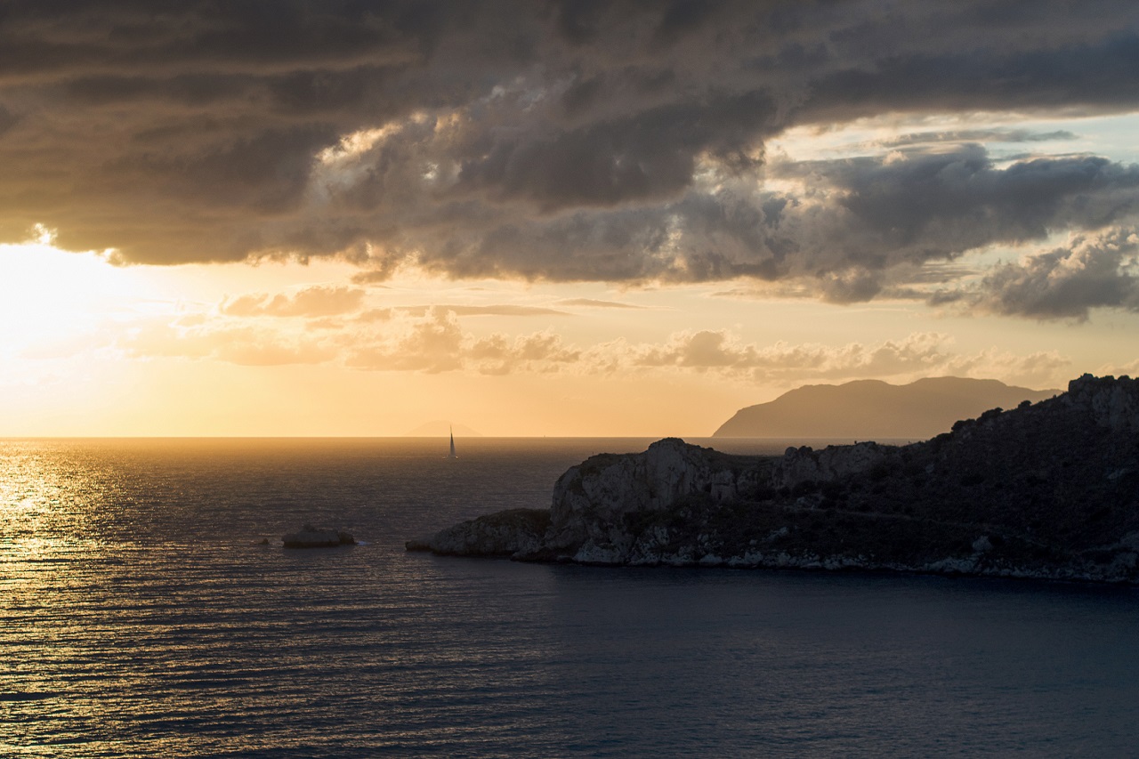 A whisker away from paradise