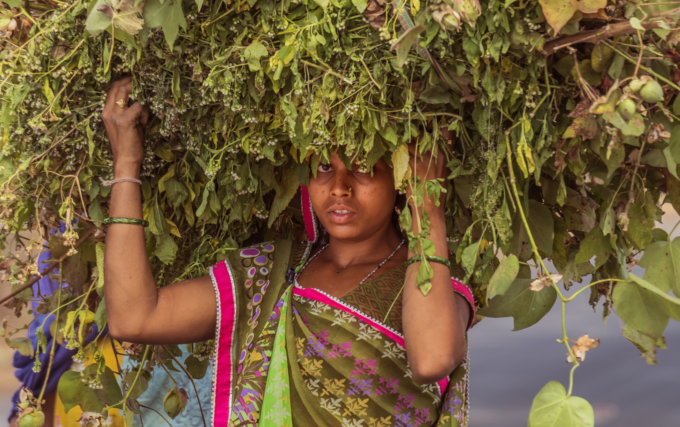 Gujarat 2015 - Lavori domestici