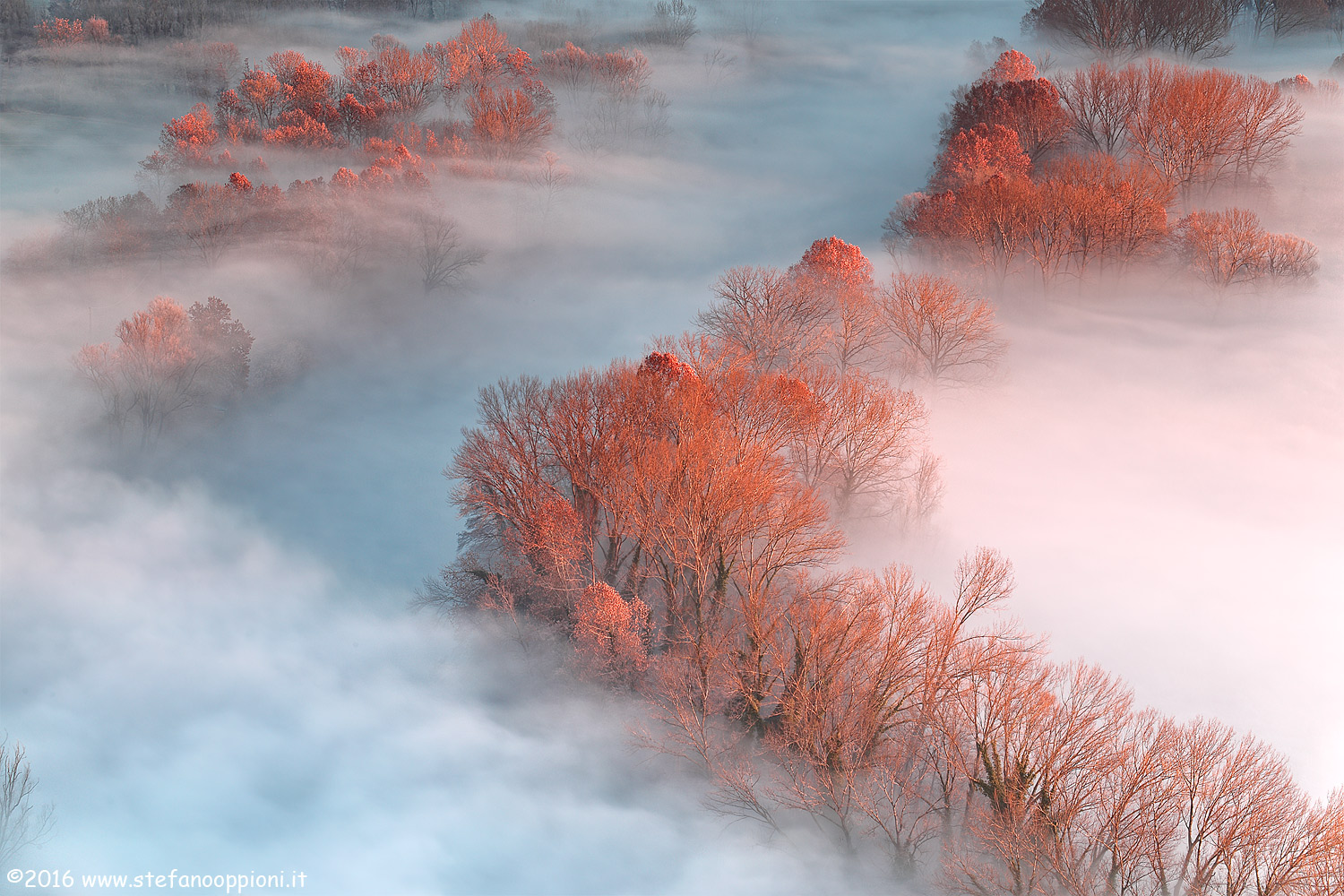 The soul of the river