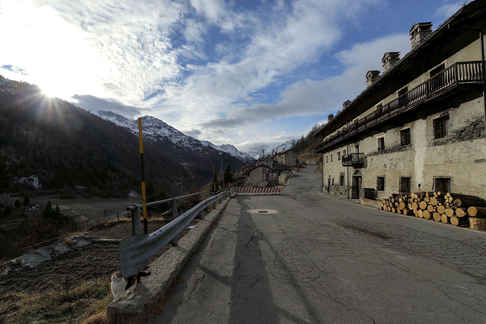 Trova l'intruso..............