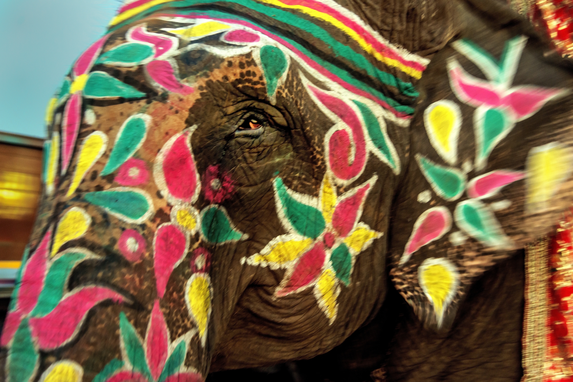 Gujarat 2015 - Dipinto per una cerimonia