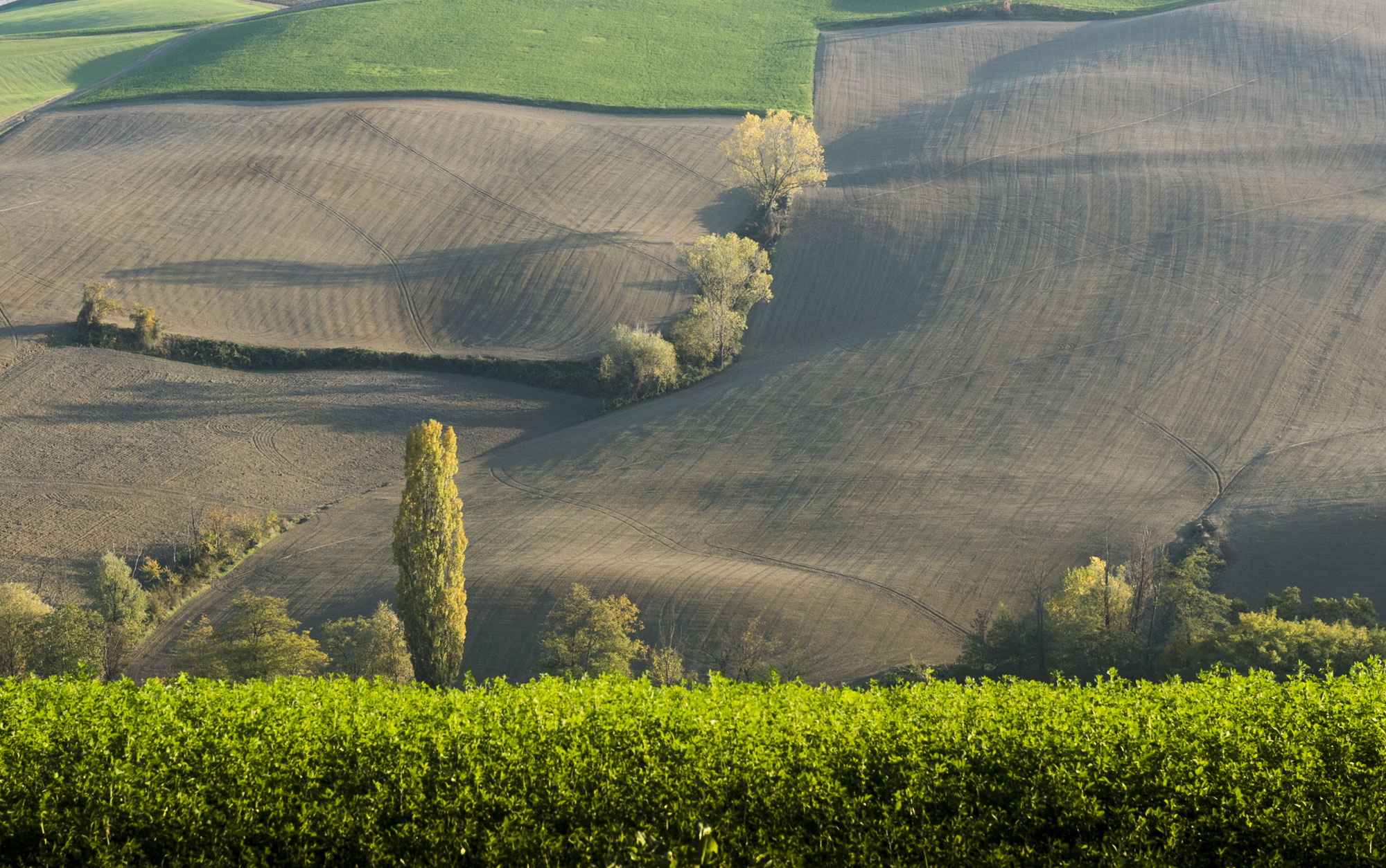 Autunno nel parmigiano