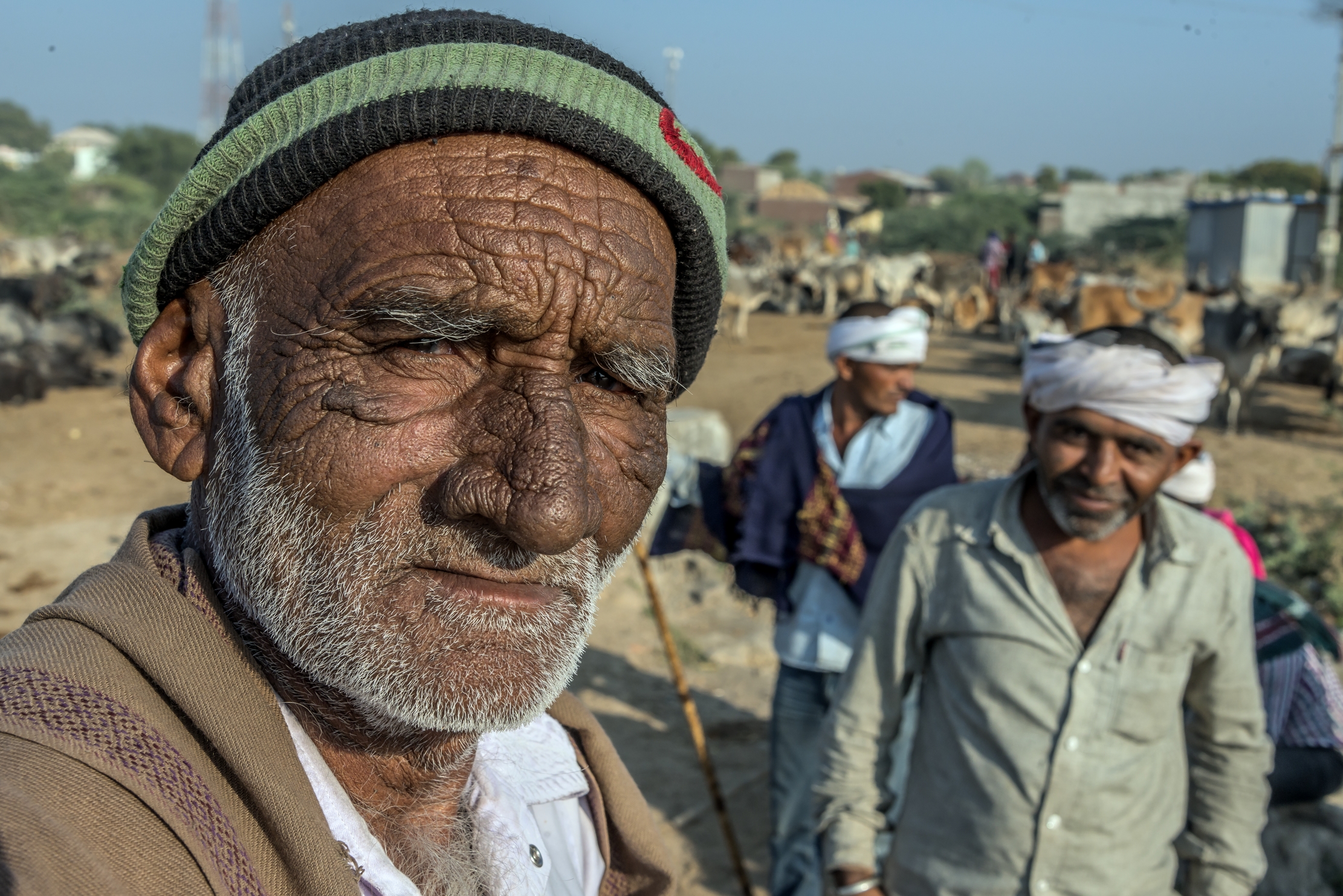 Gujarat 2015 - Pastori