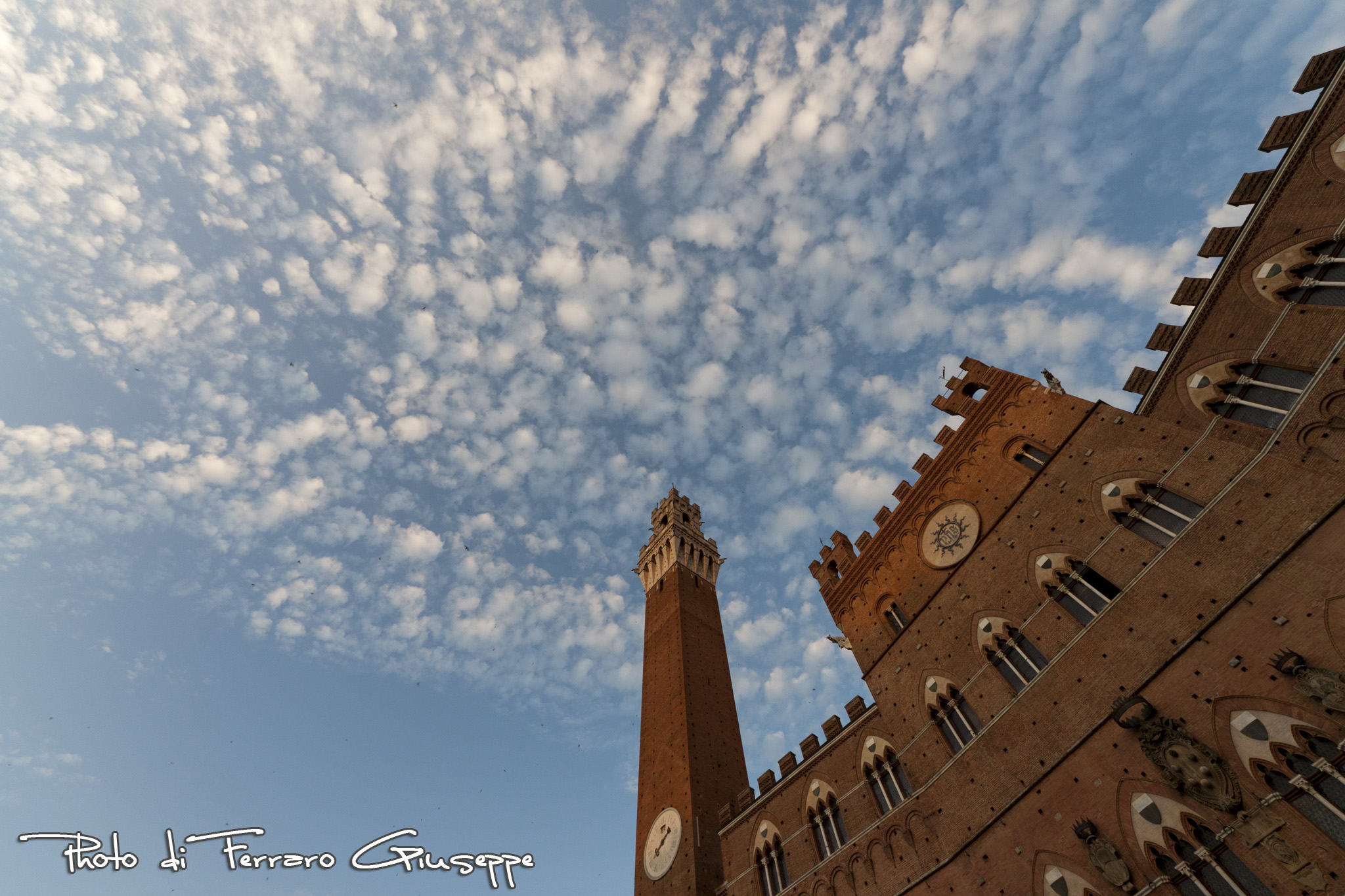 Siena, Piazza Il Campo