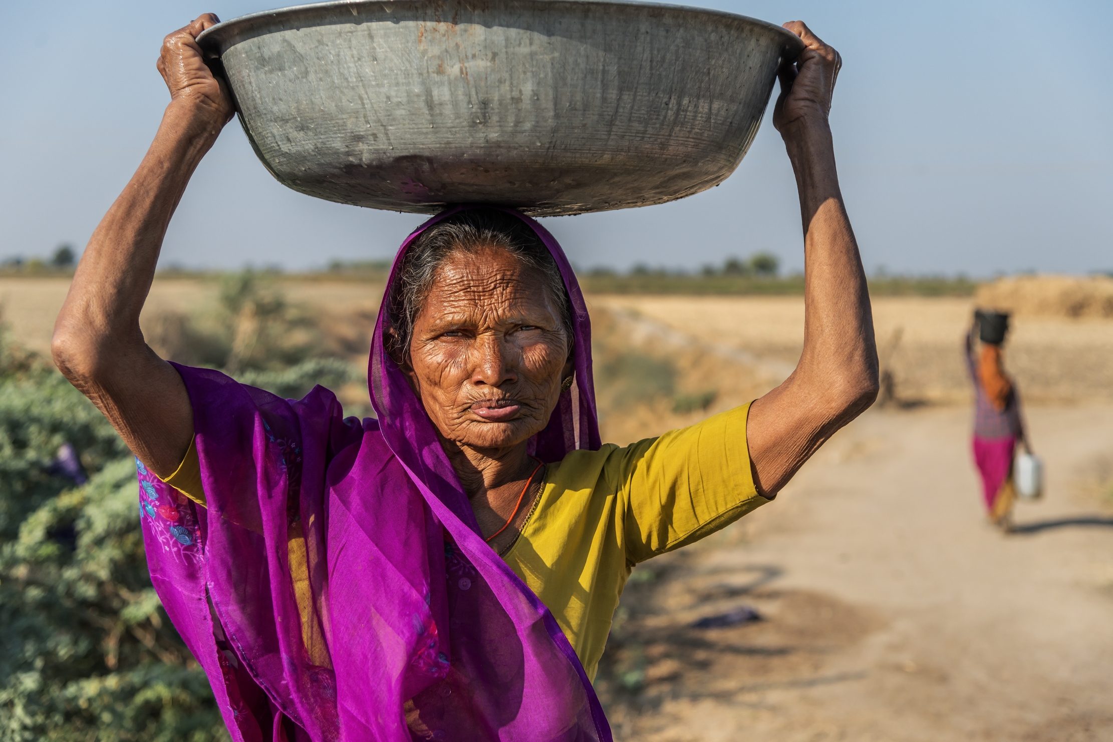 Gujarat 2015 - Contadina