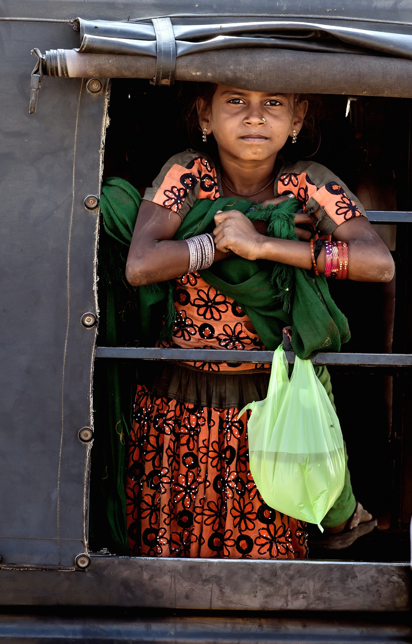 Gujarat 2015 - Su un carretto