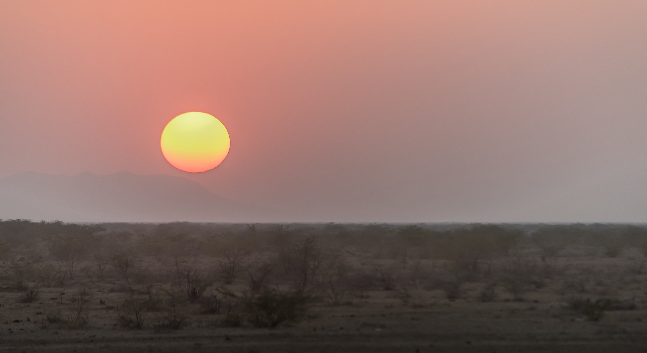 Gujarat 2015 - Tramonto