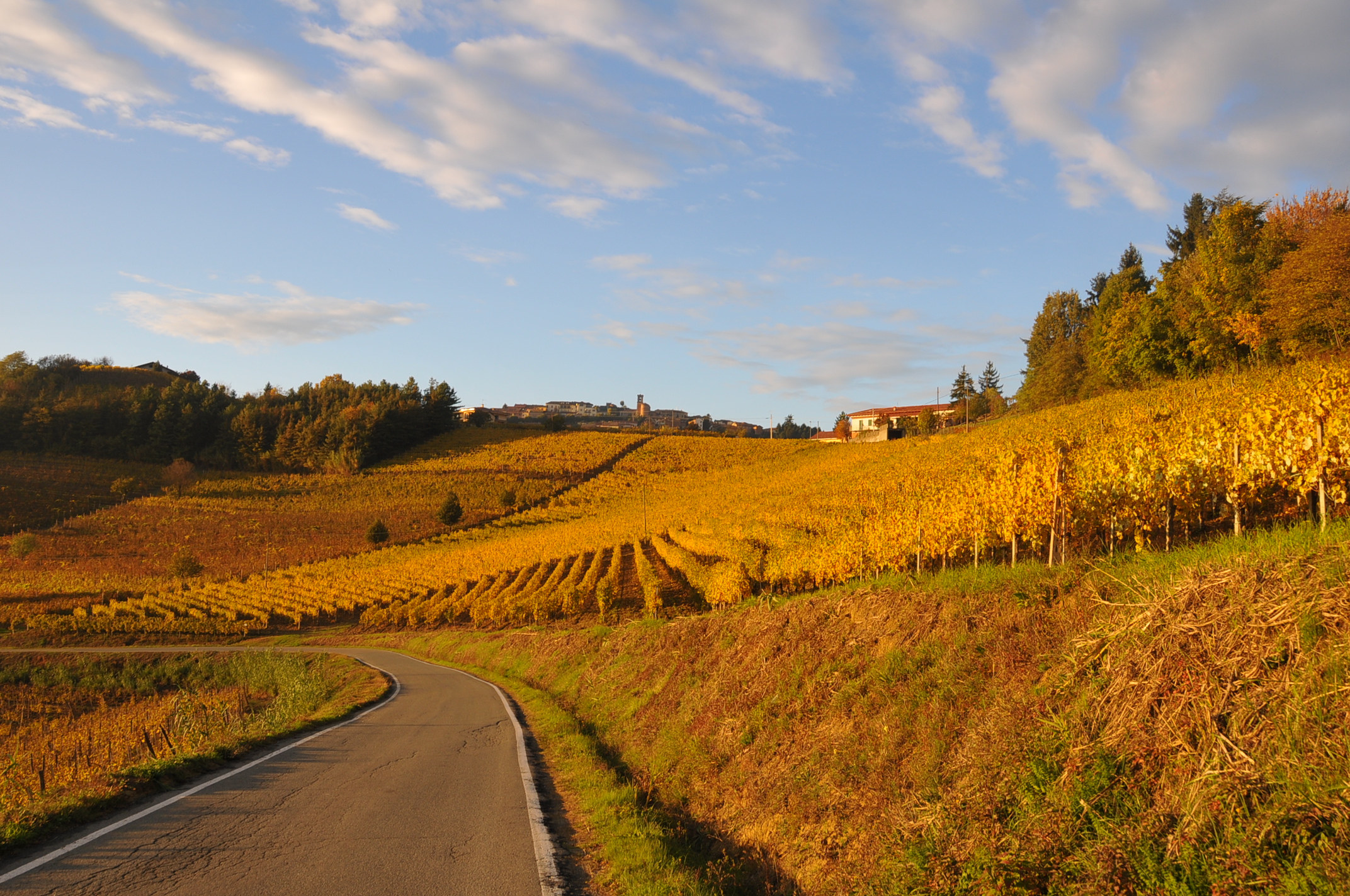 autumn in Monferrato