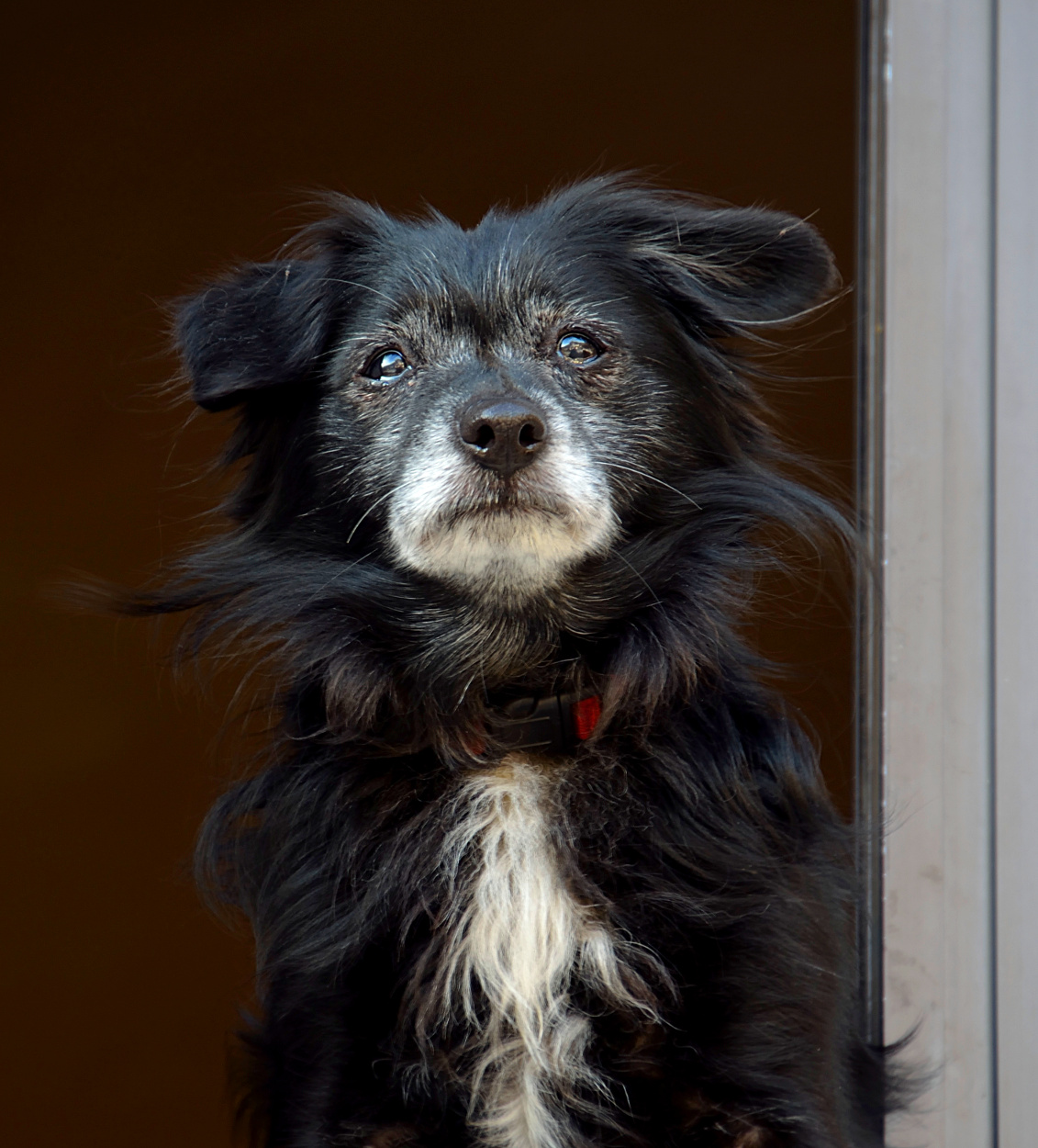 Qui comando io!!!!!!