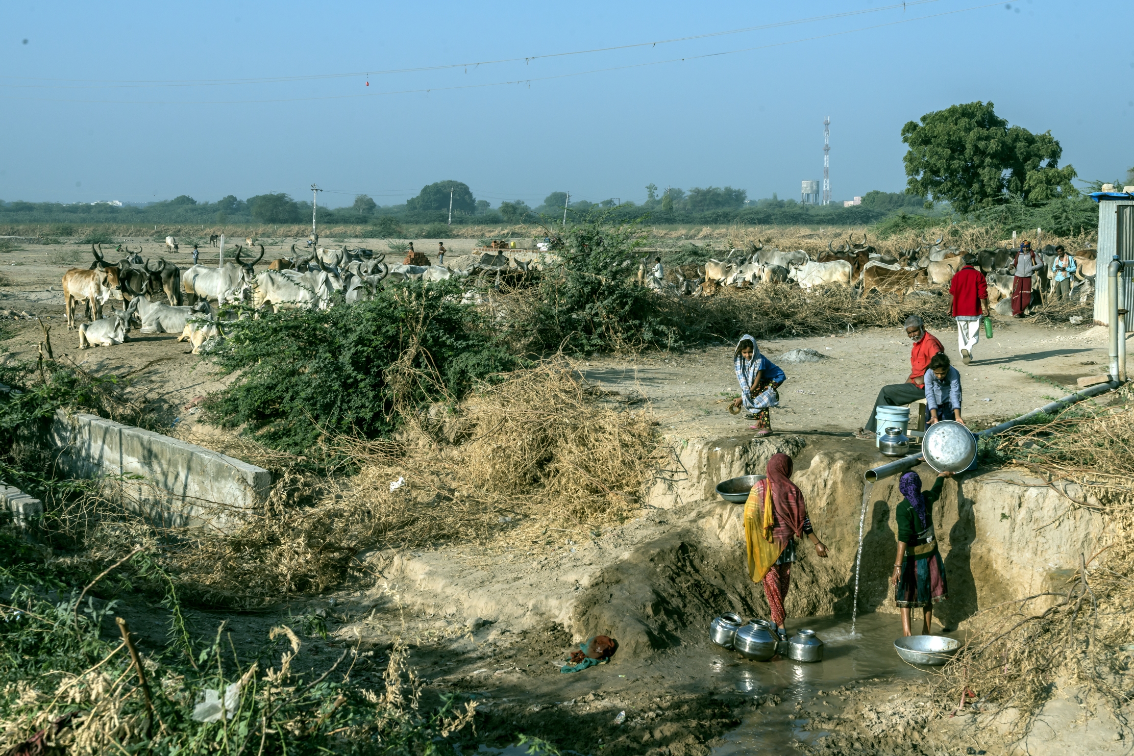 Gujarat 2015 - At the source