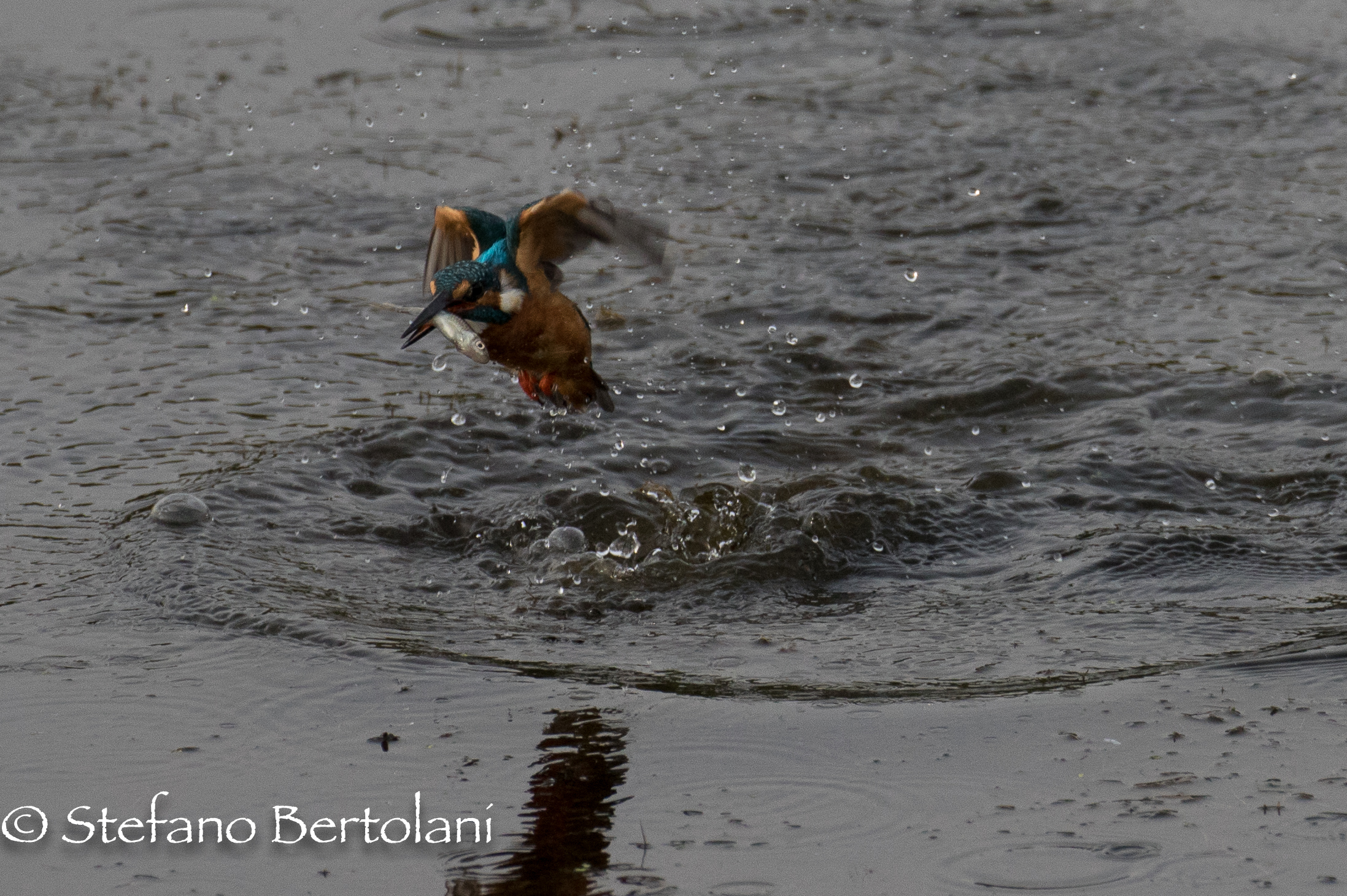 Escape after the victory