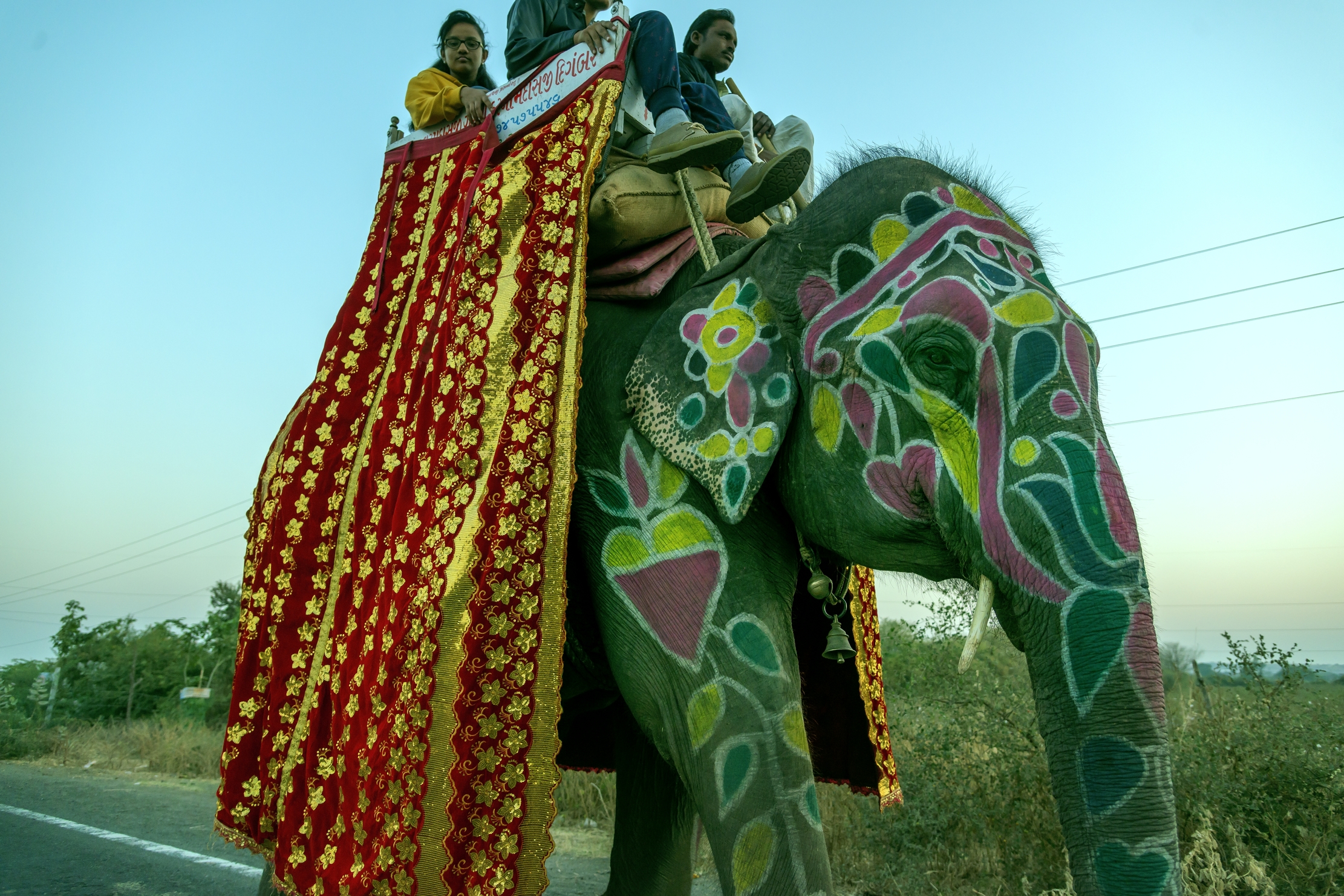 Gujarat 2015 - In a Hindu procession