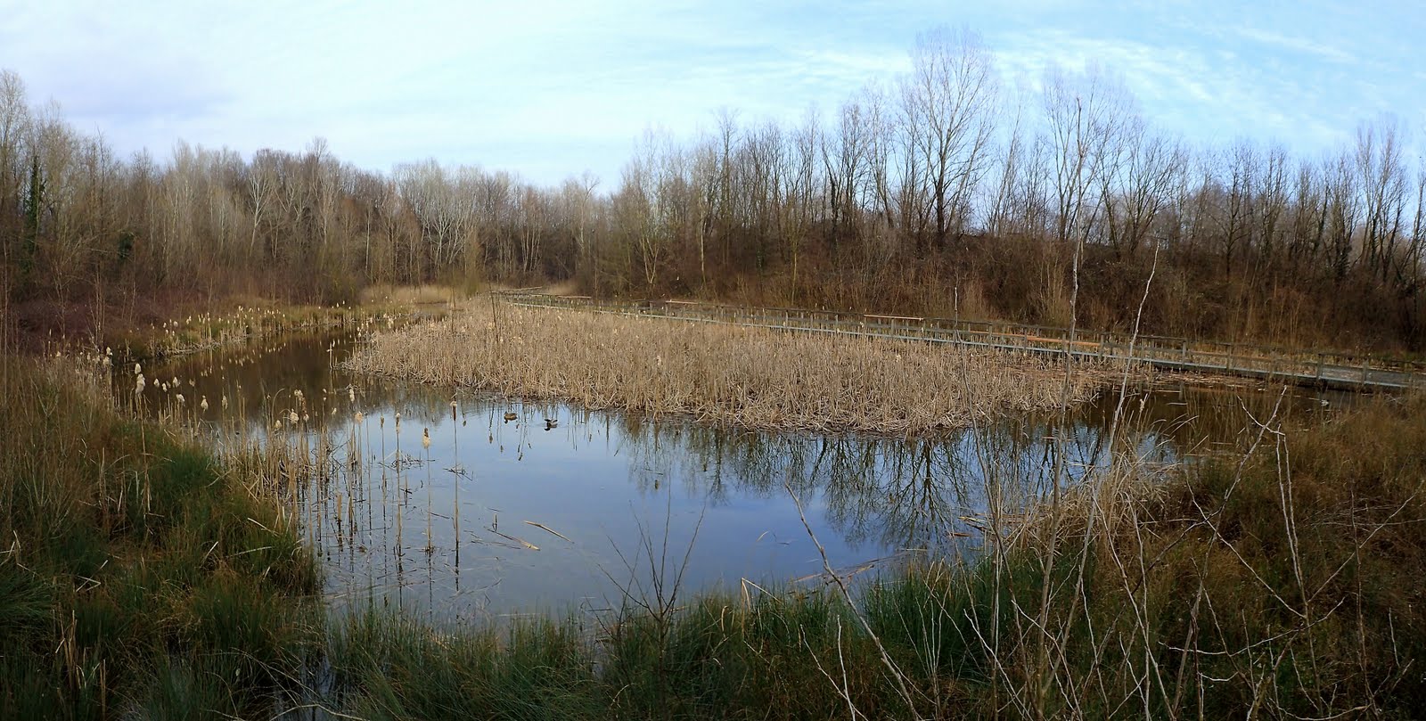 Oasis Panorama San Daniele