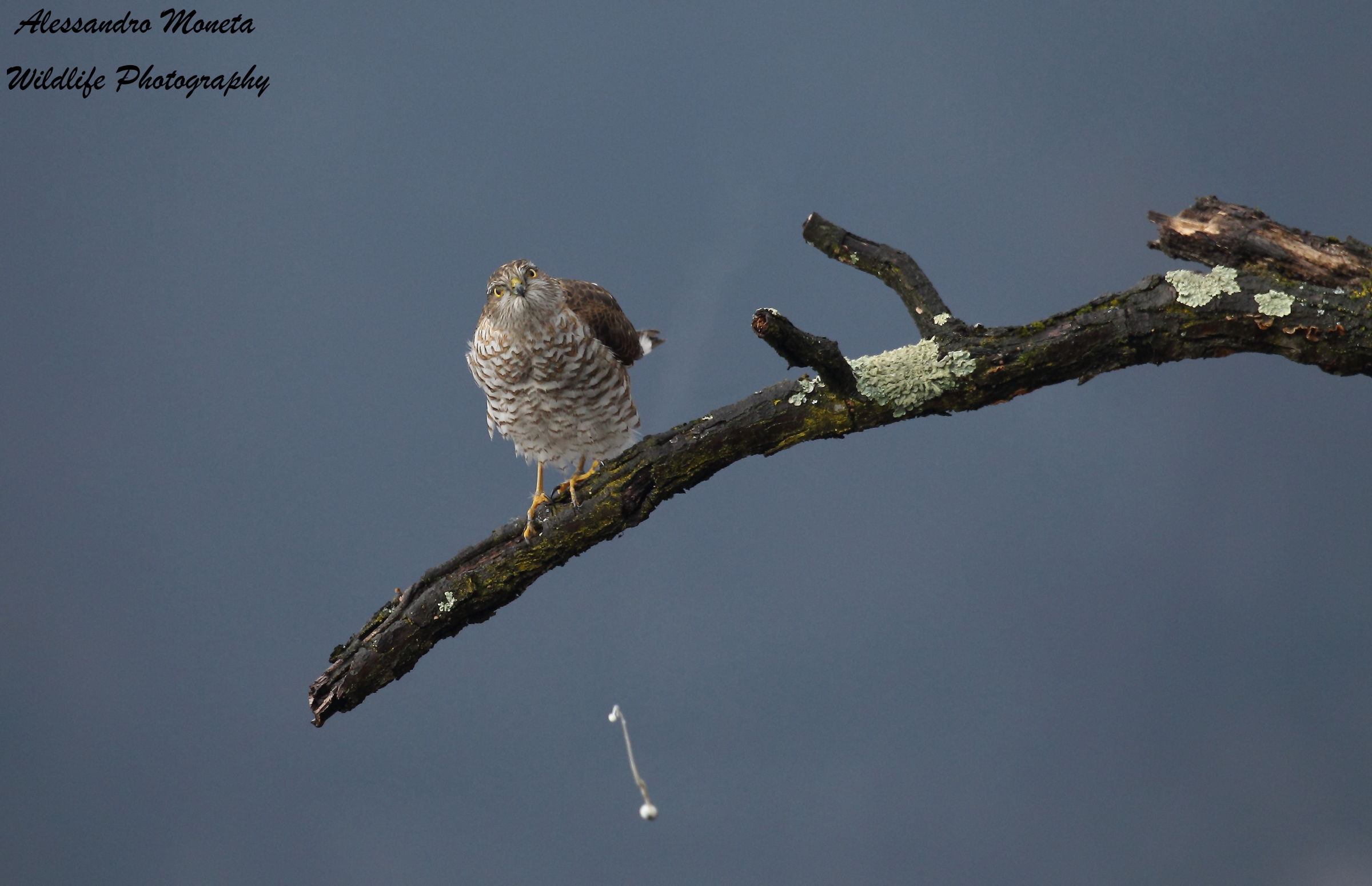 A little 'privacy please ...