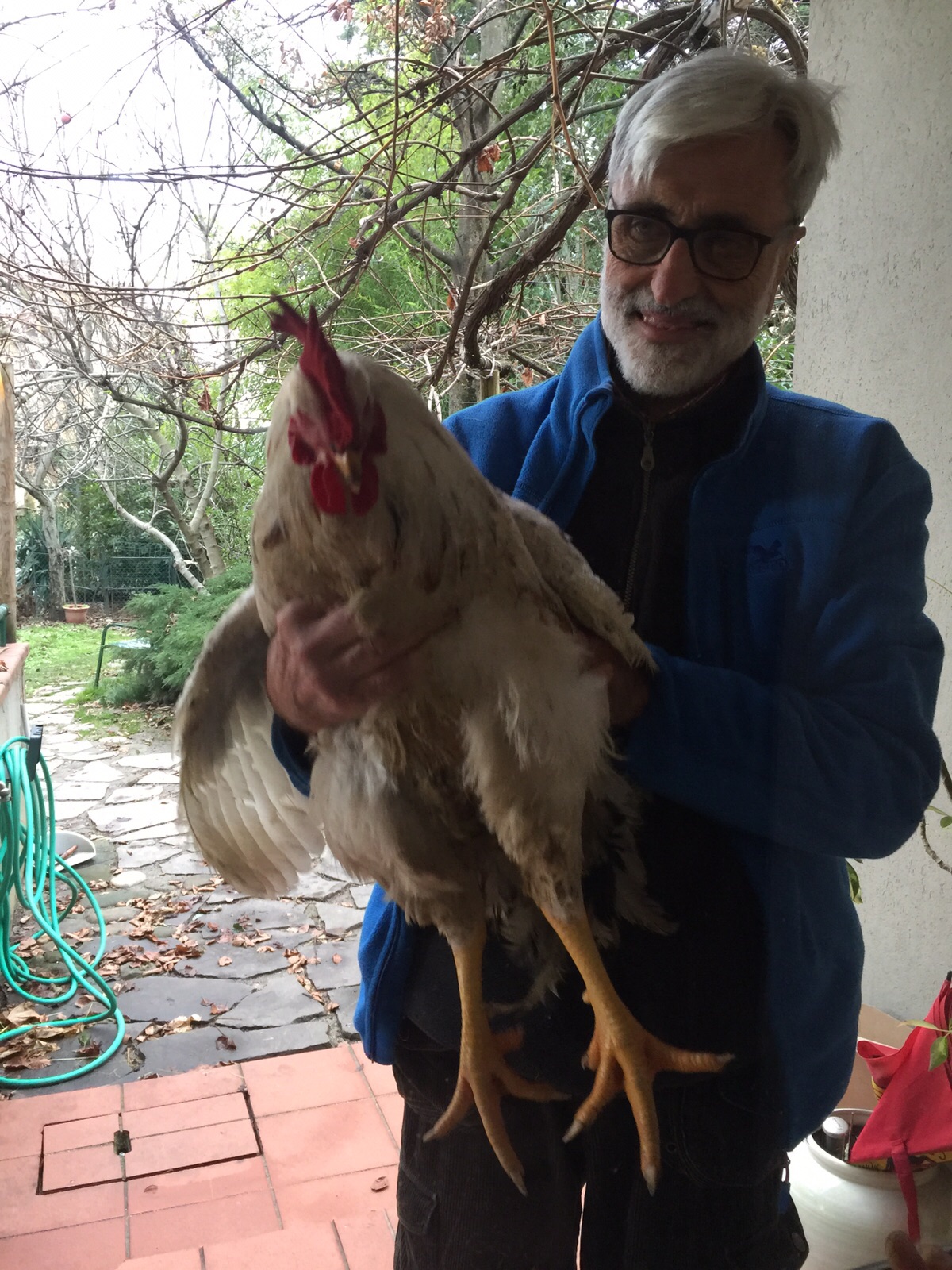 Selfie with Big Luciano, the rooster