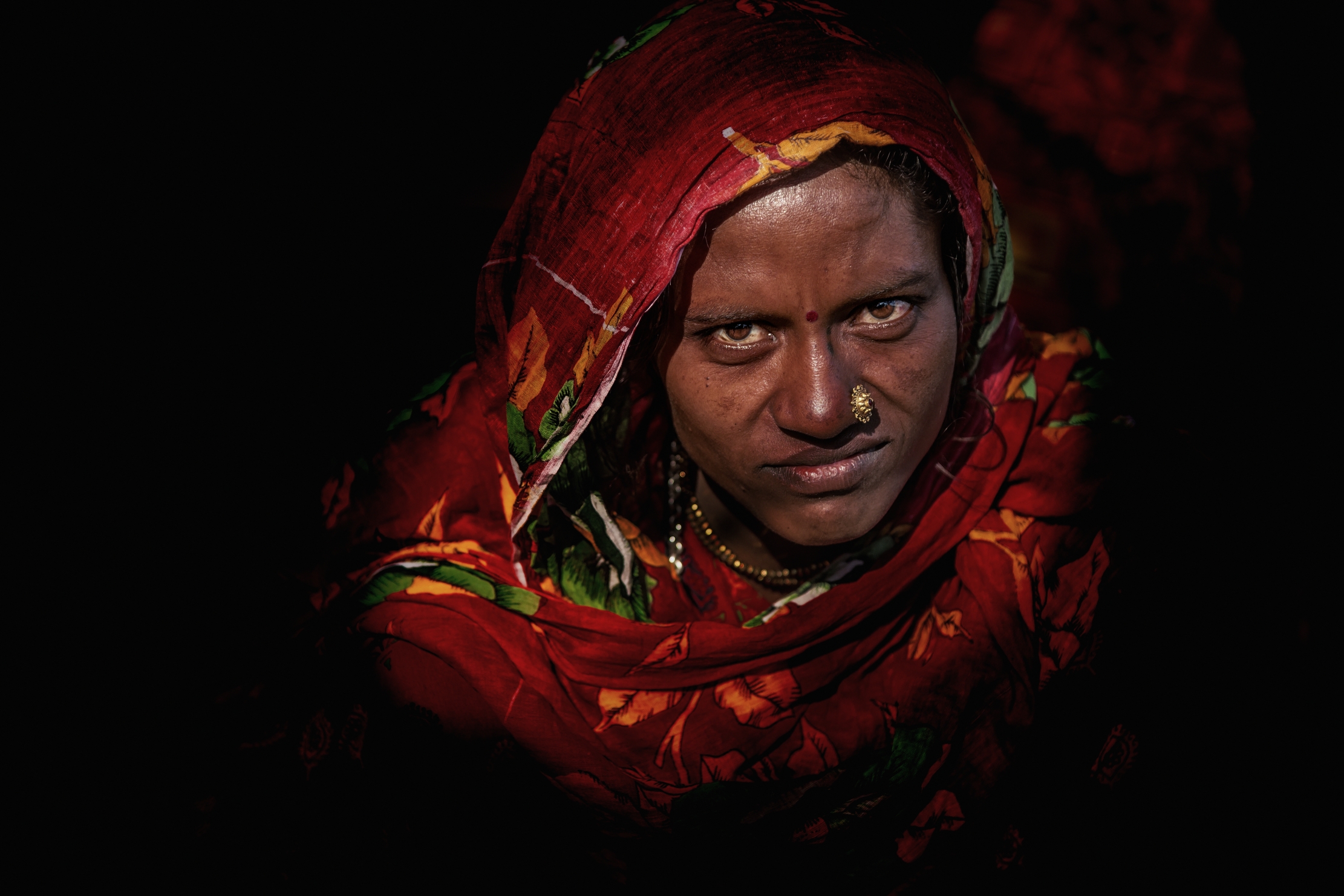 Gujarat 2015 - Nomad