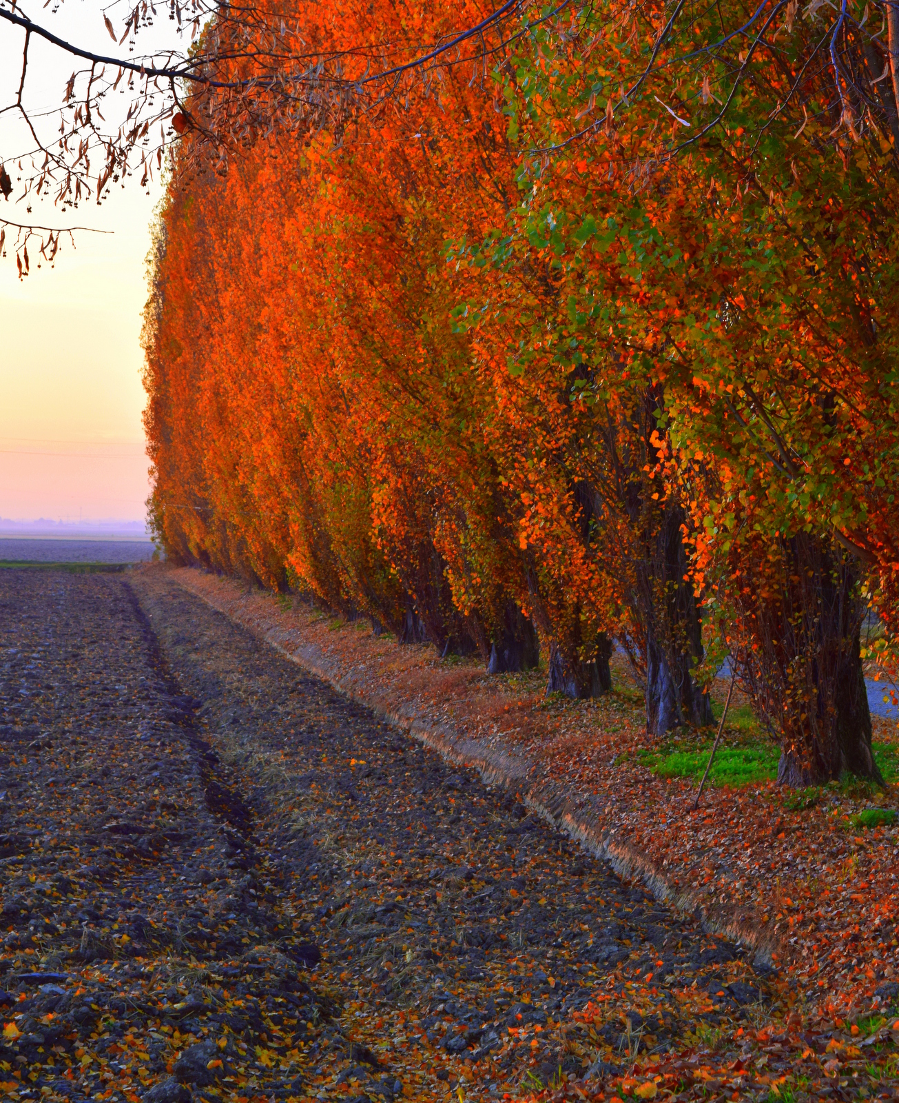 campagna d'autunno 3