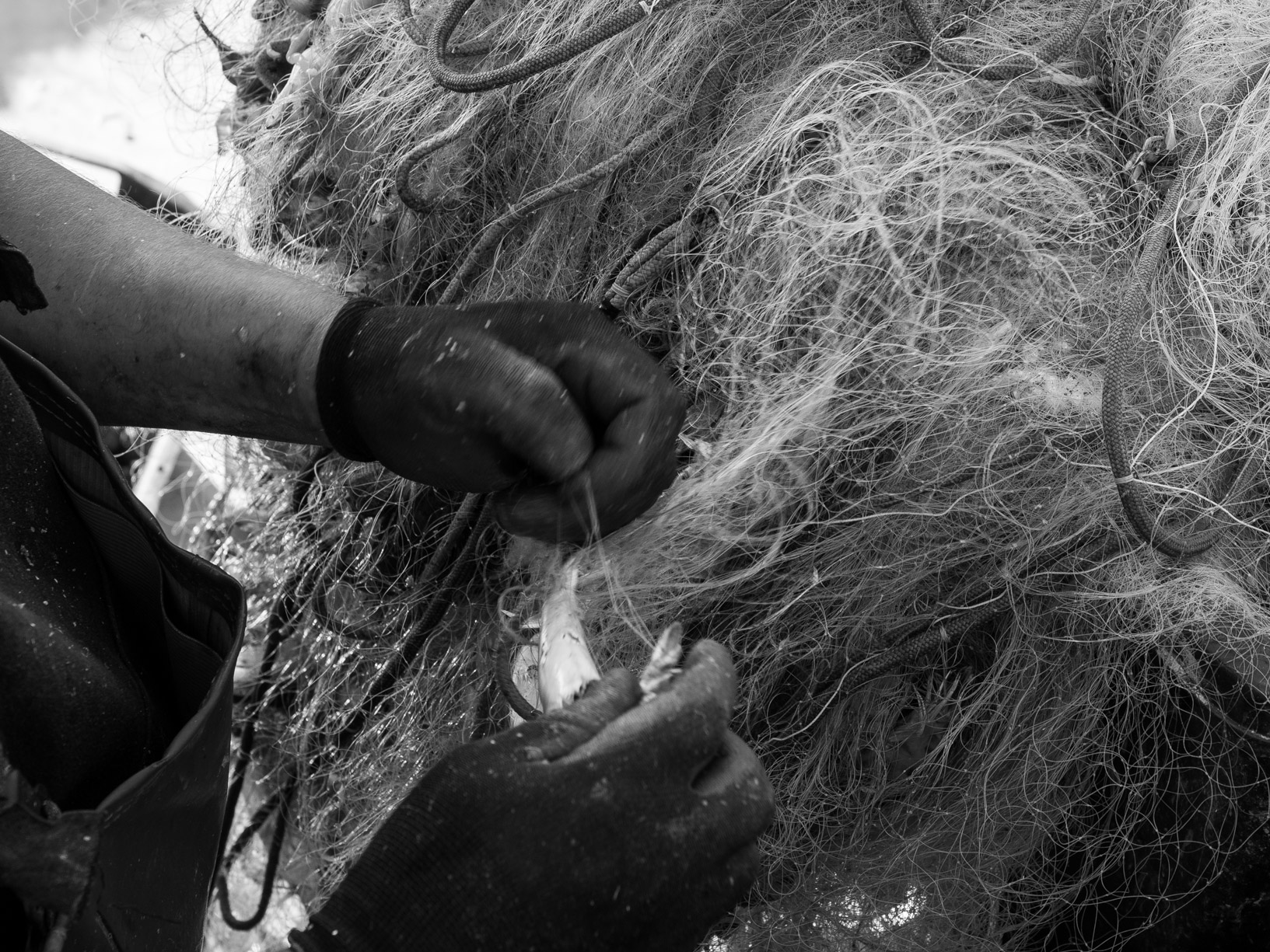 A ride to the dock # 5