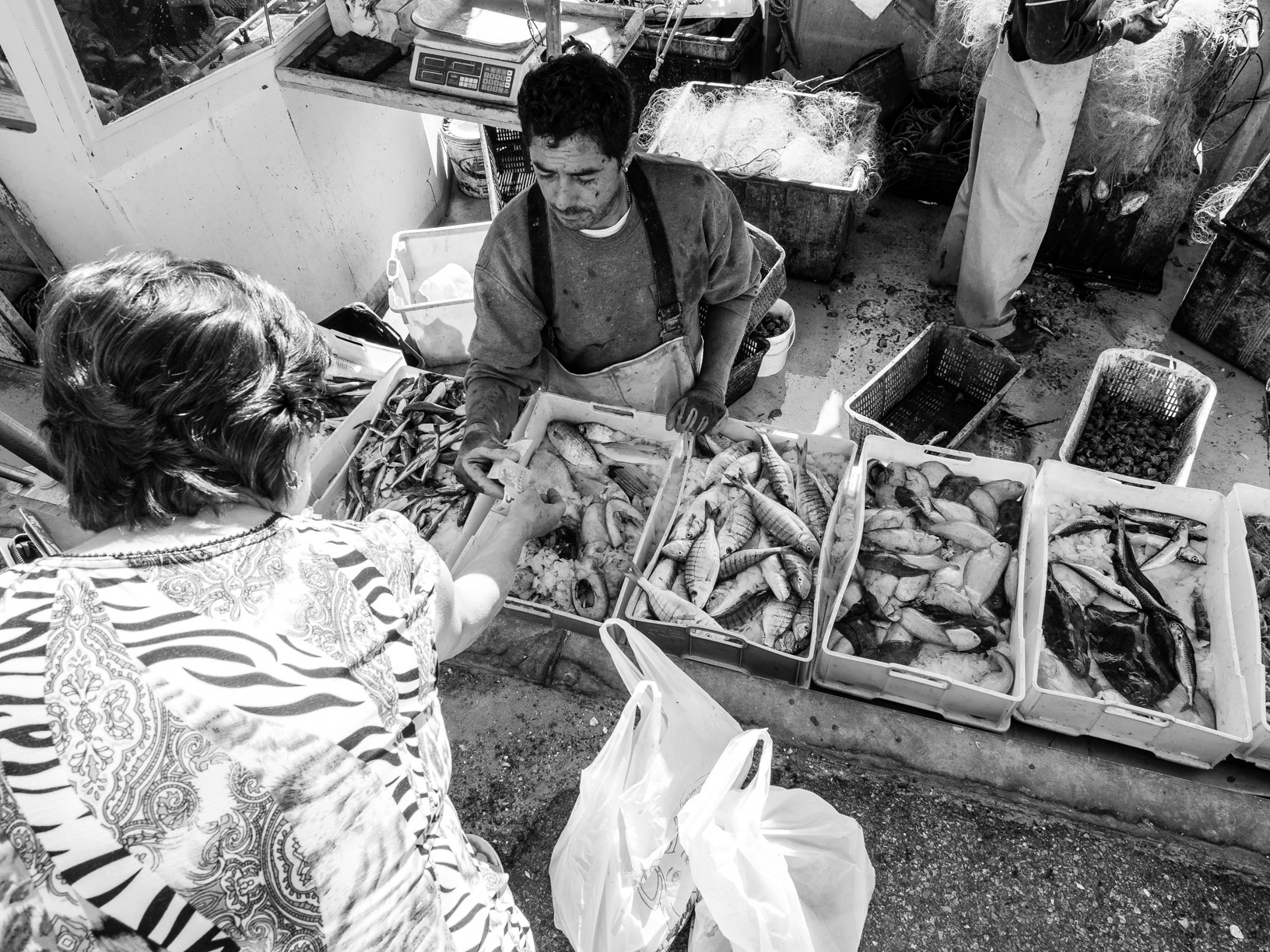 A ride to the dock # 7