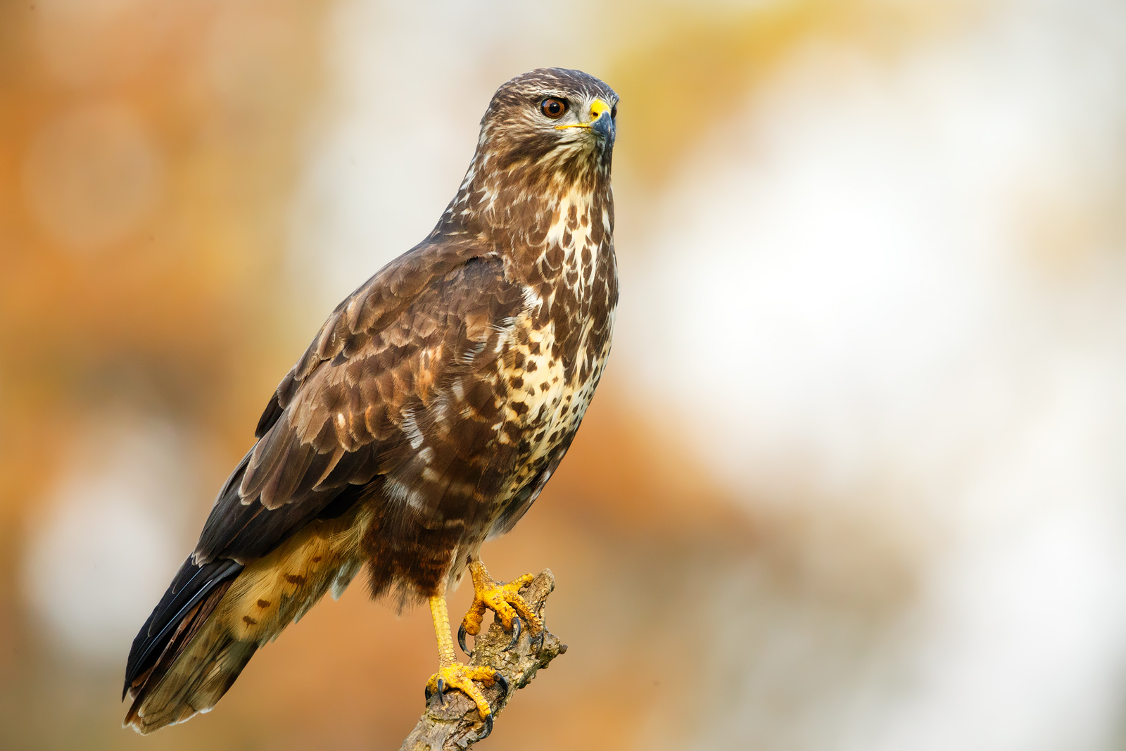 For a second comfortable ..