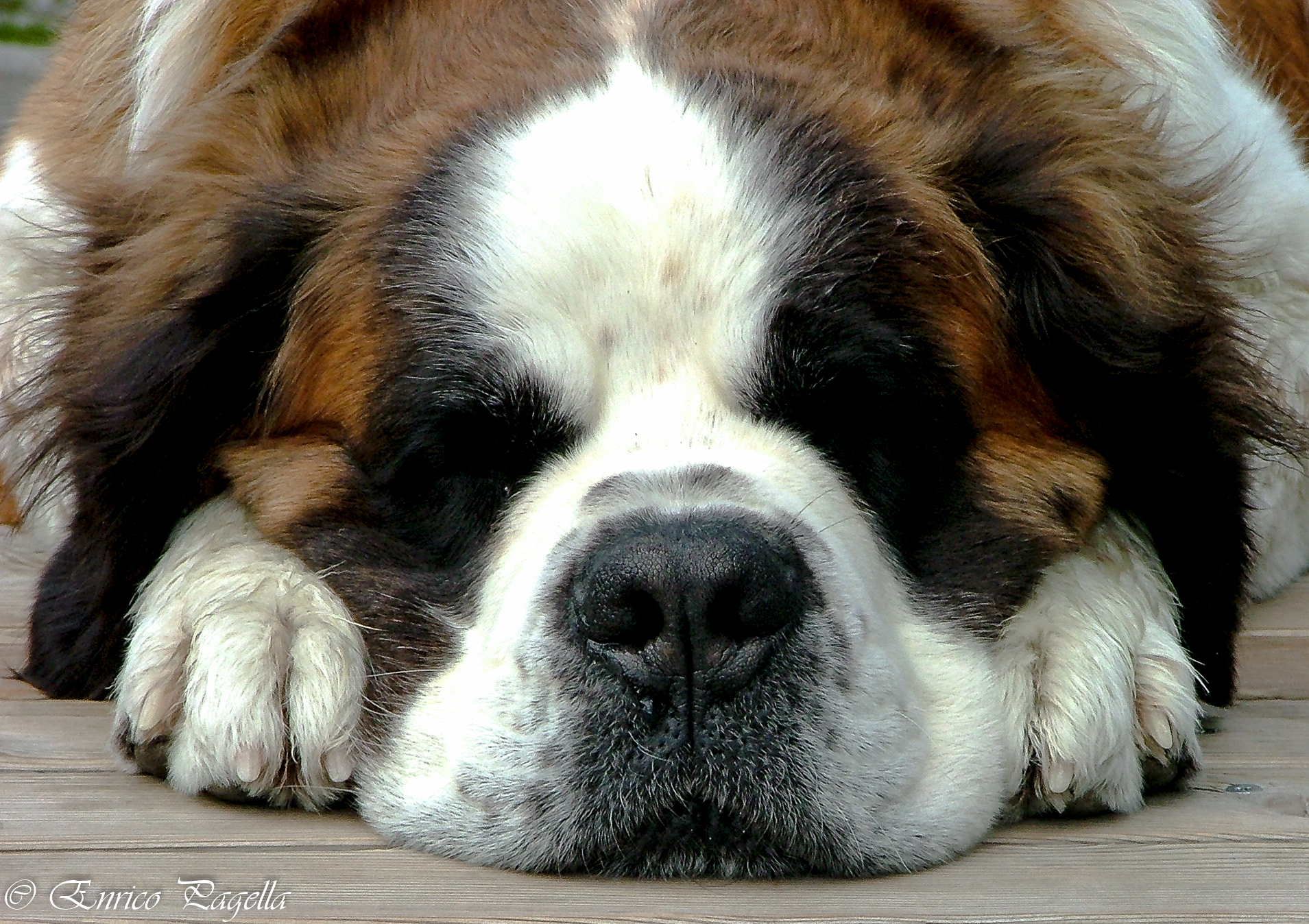 the sleep of the righteous