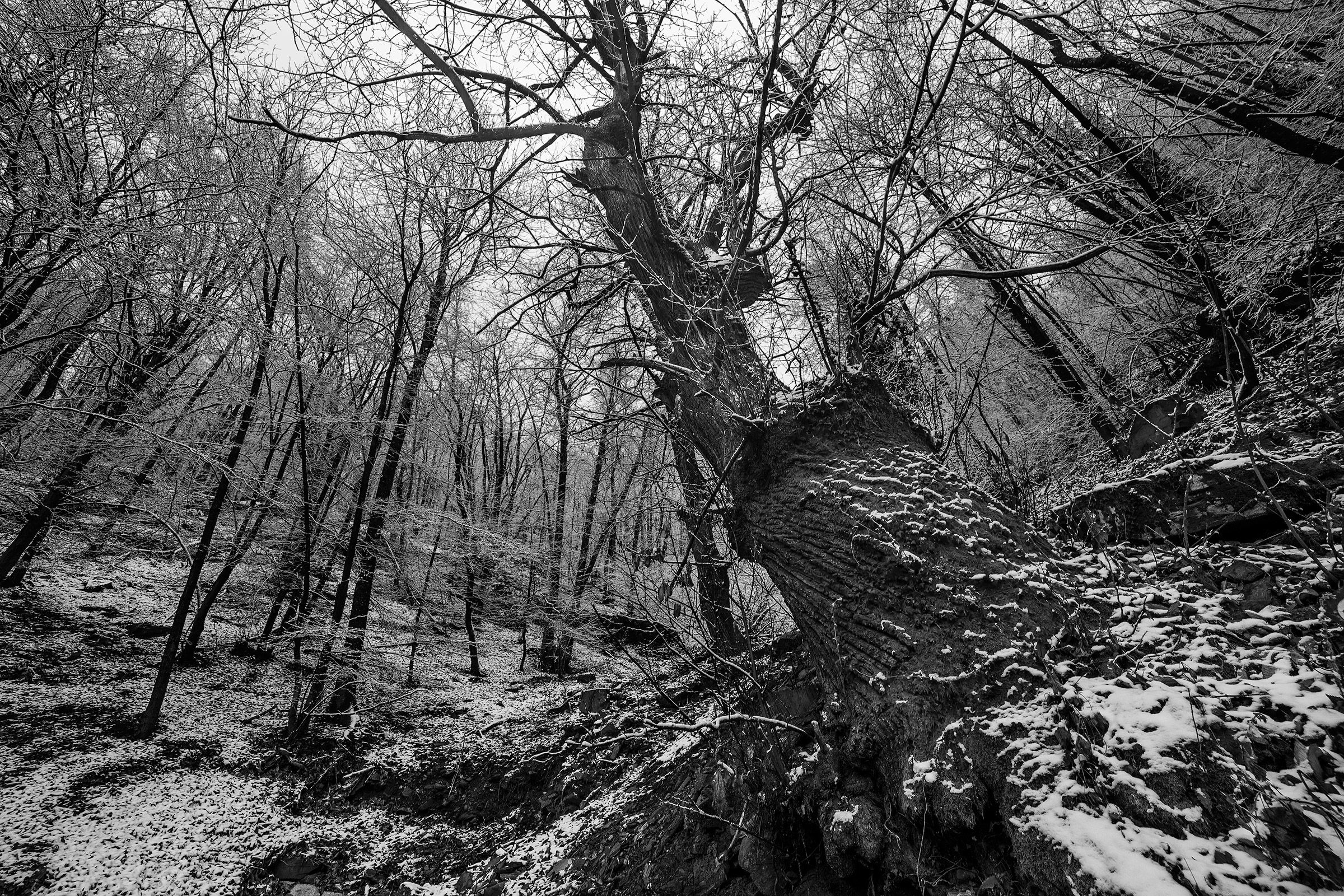 L'inverno ha giocato con noi