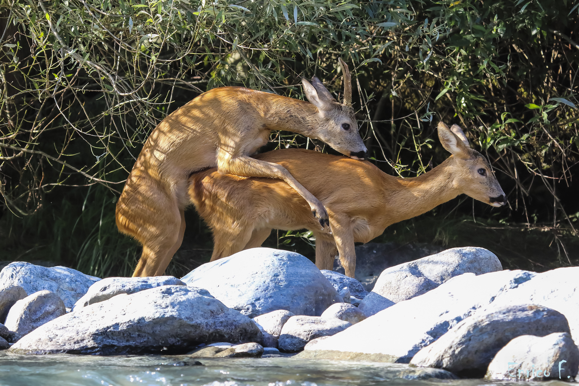 What about privacy? 1